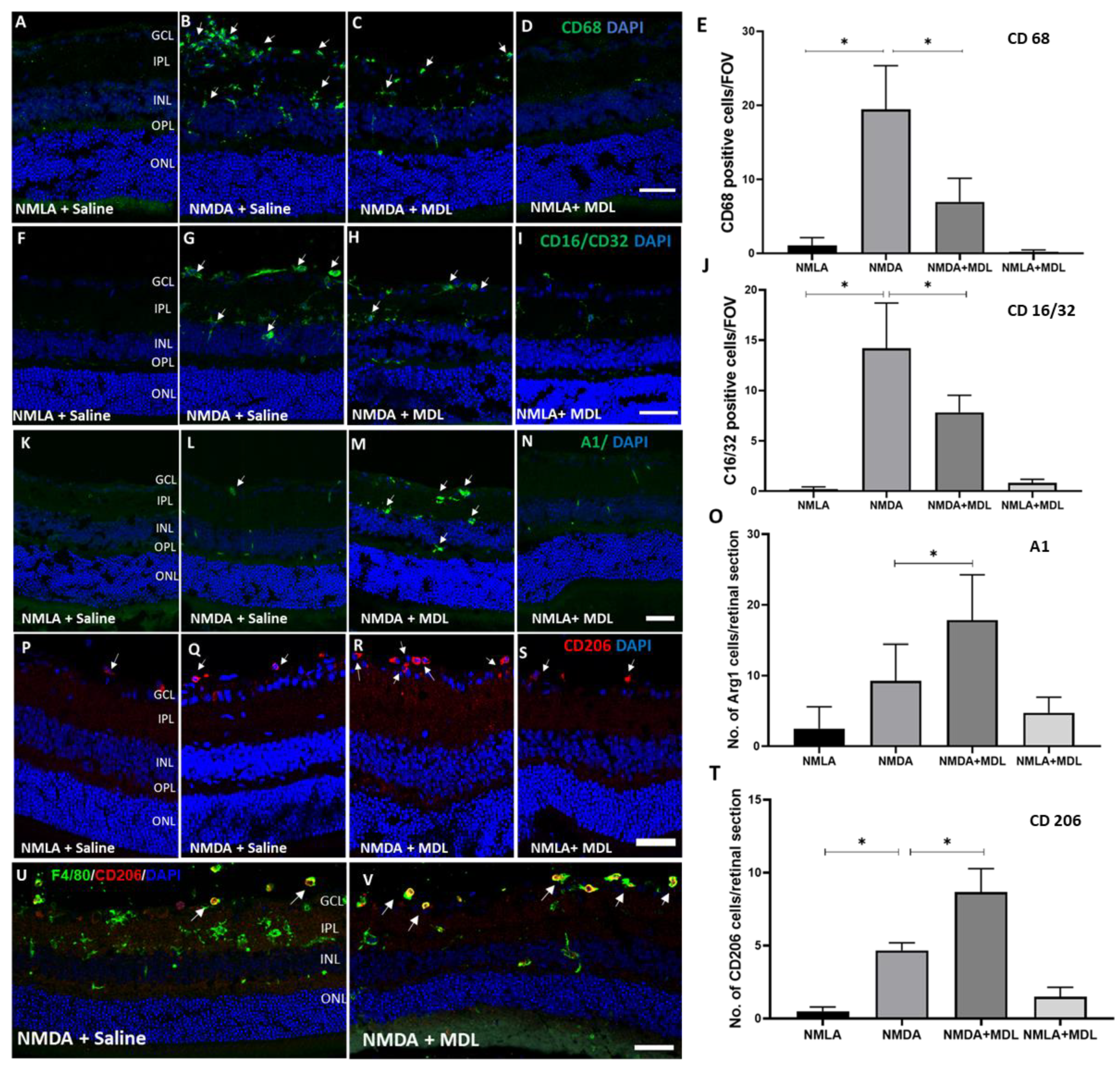 Ijms 23 02133 g002 550