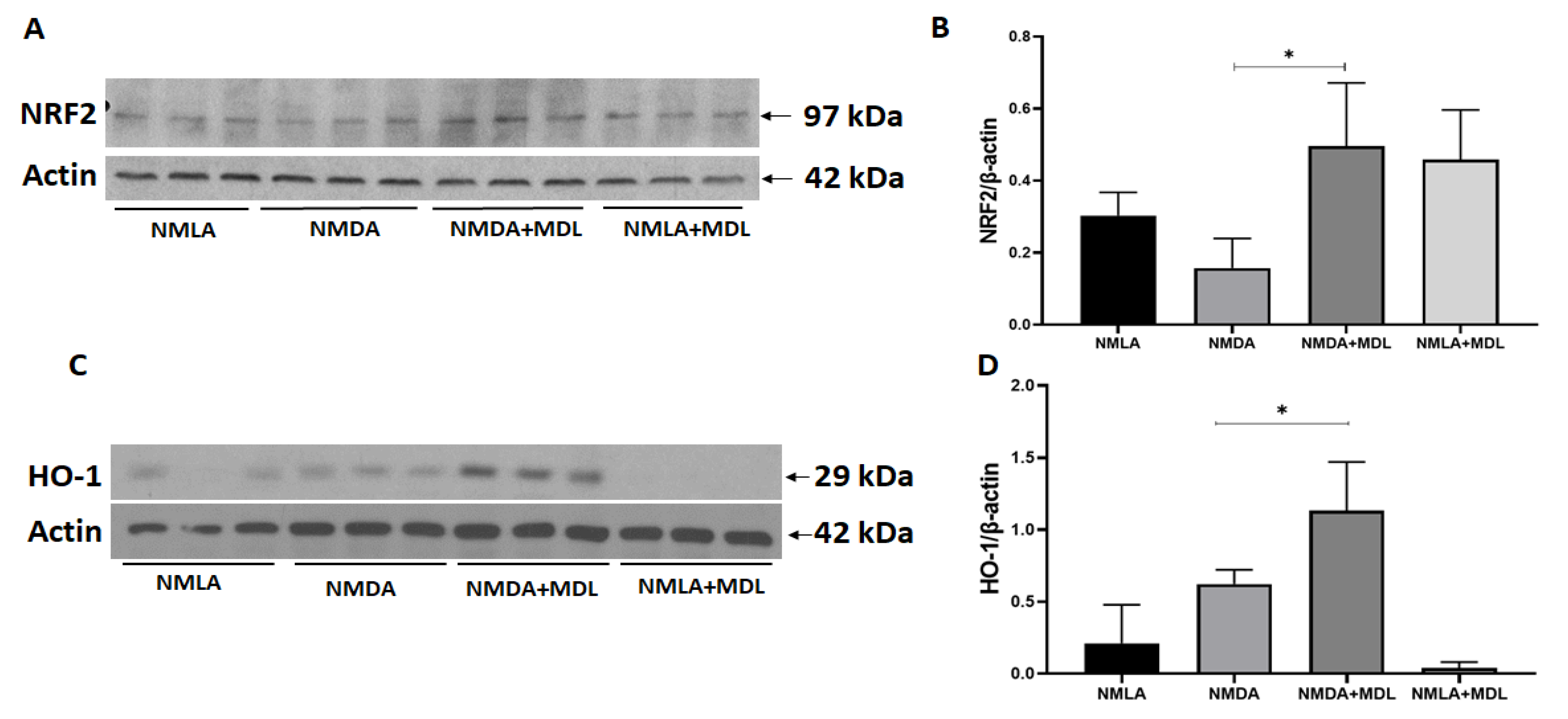 Ijms 23 02133 g004 550