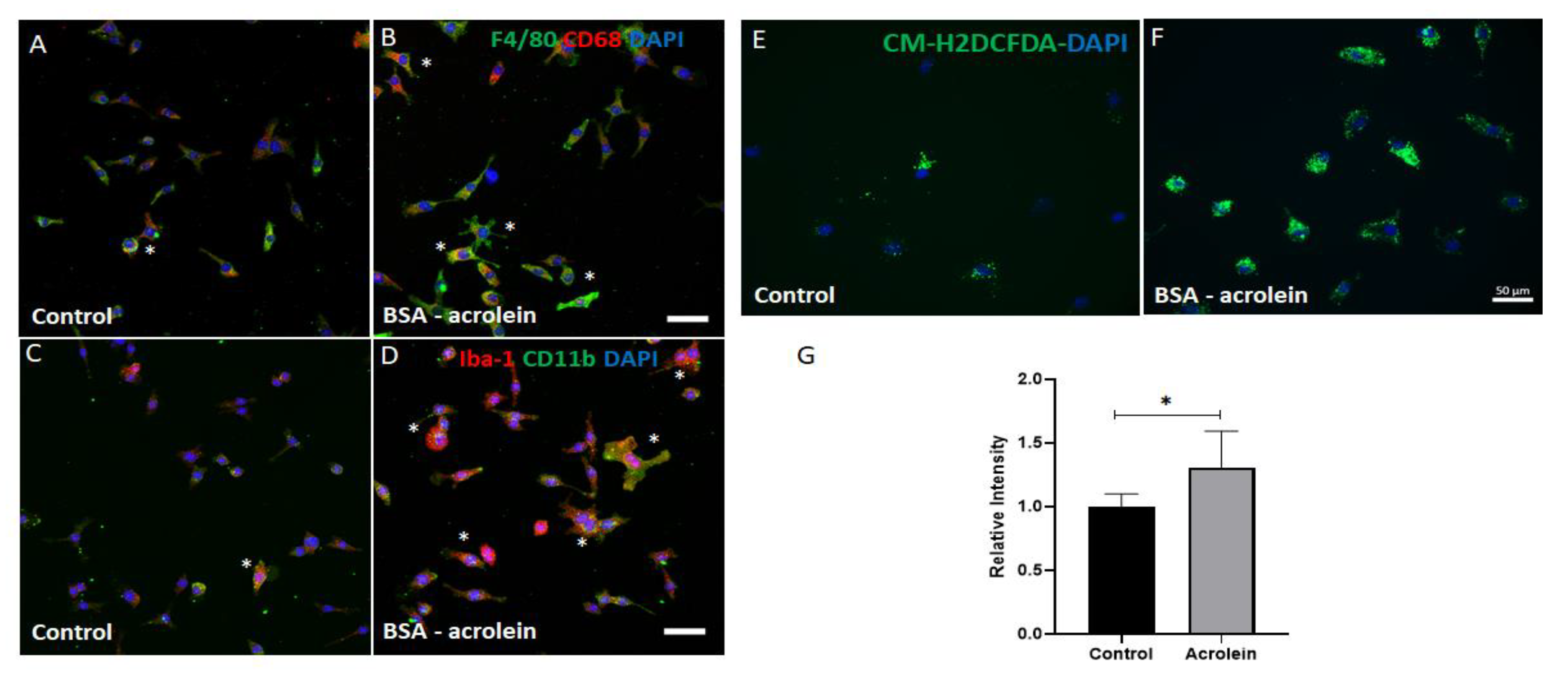 Ijms 23 02133 g006 550