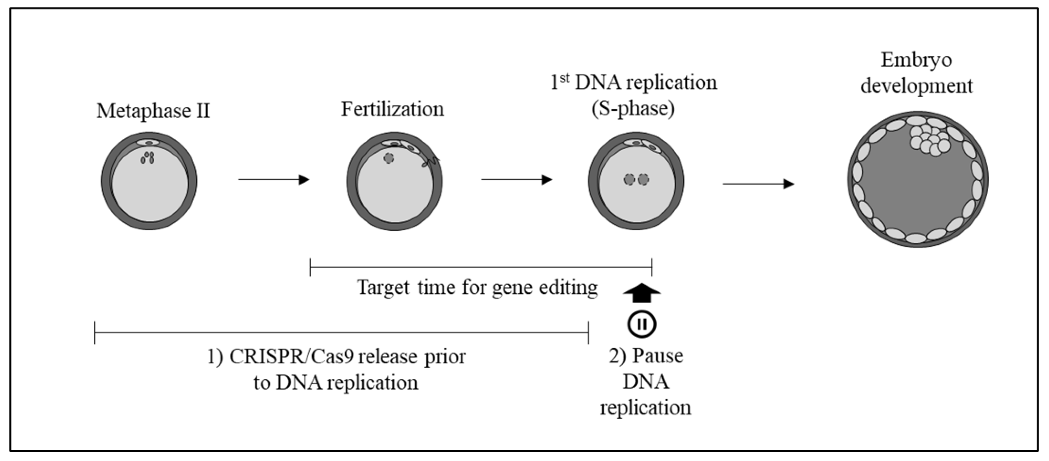 Ijms 23 02135 g001 Ijms 23 02135 g001