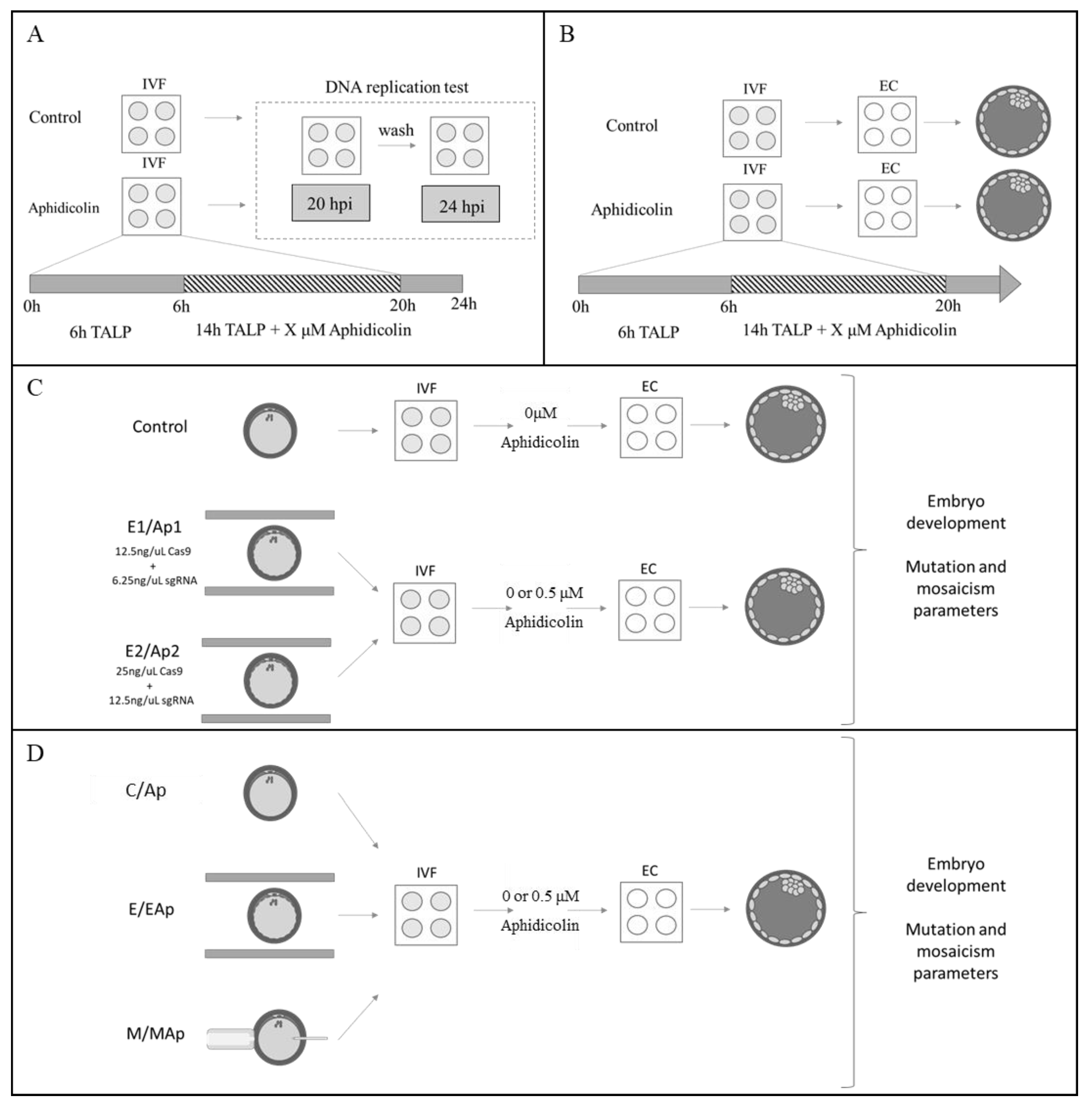 Ijms 23 02135 g002 Ijms 23 02135 g002