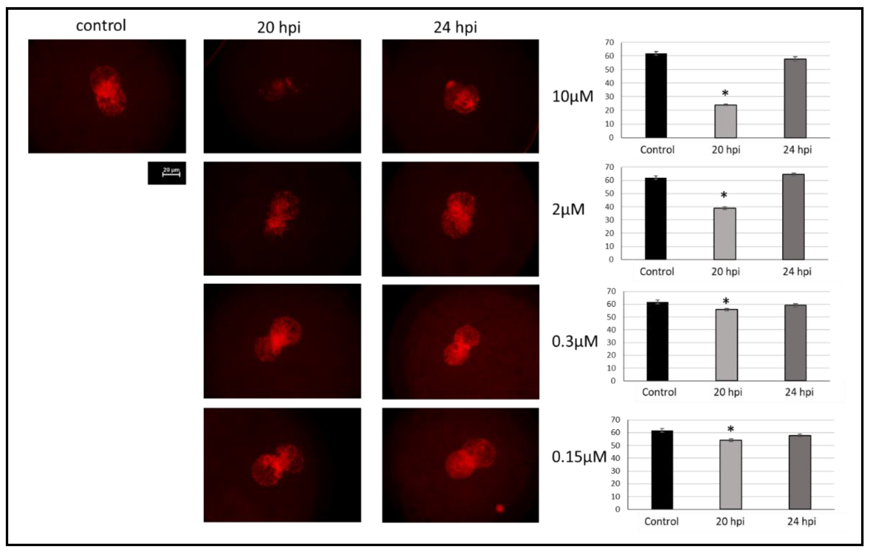 Ijms 23 02135 g003 Ijms 23 02135 g003