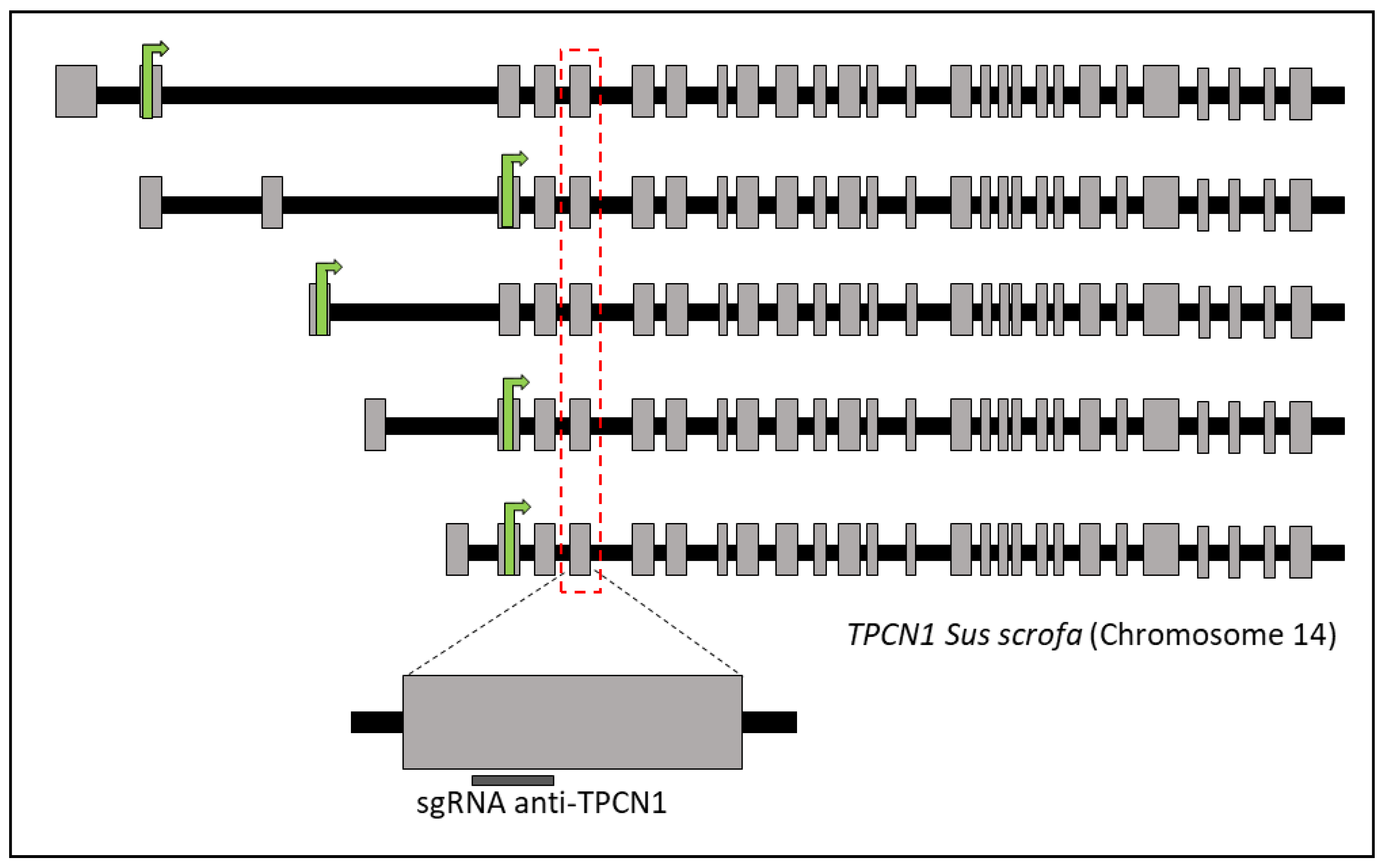 Ijms 23 02135 g007 Ijms 23 02135 g007