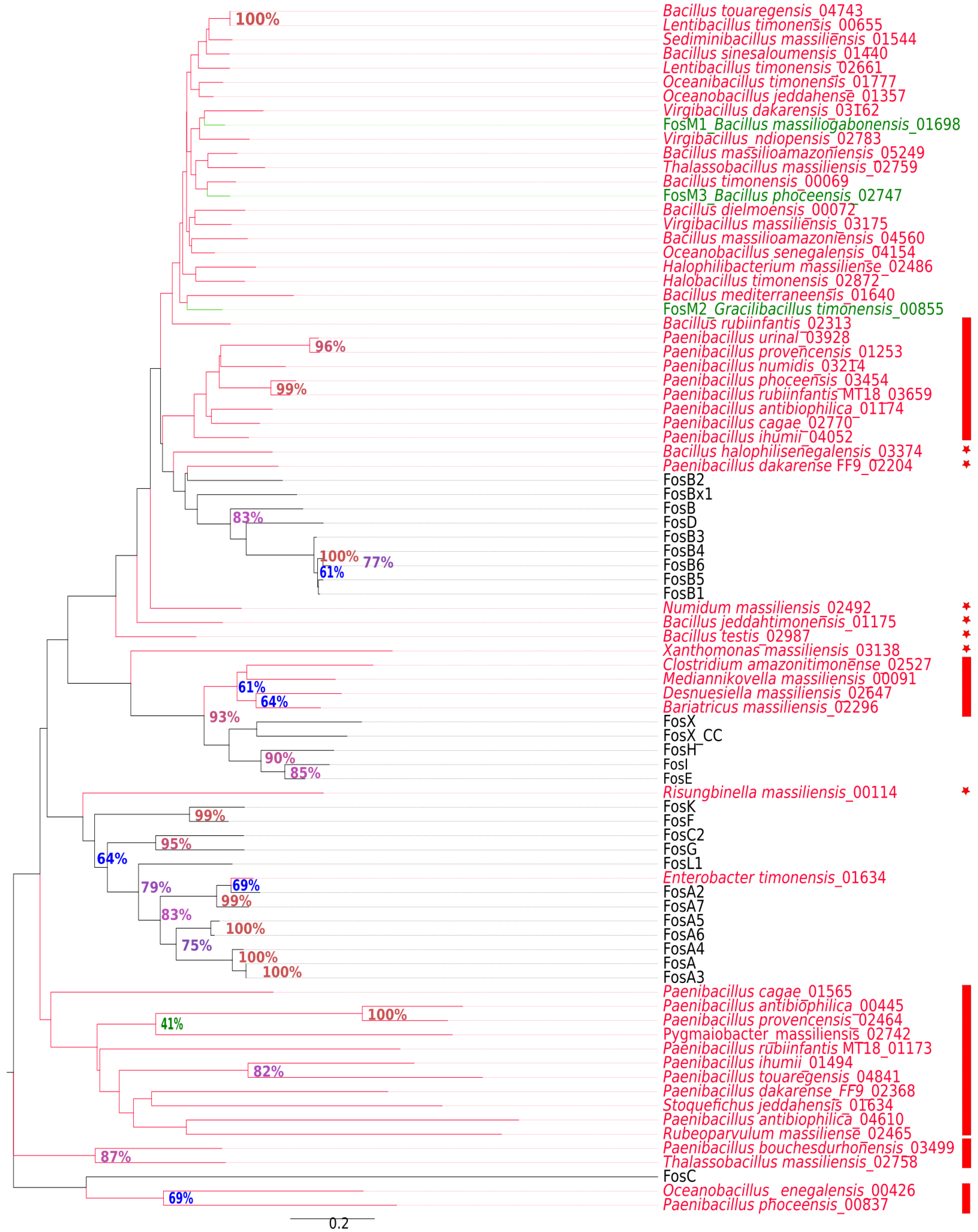 Ijms 23 02137 g003 550