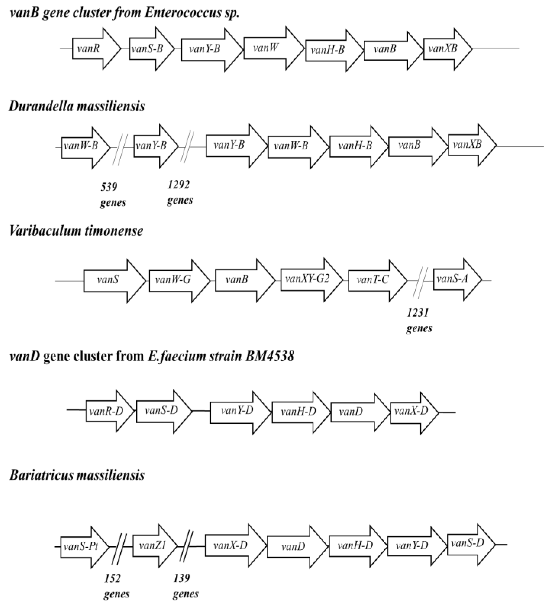 Ijms 23 02137 g004 550