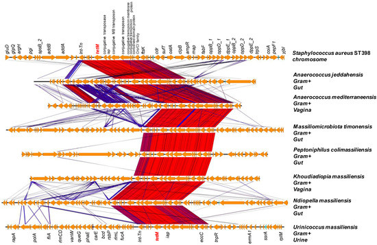 IJMS | Free Full-Text | Whole Genome Analysis of 335 New Bacterial ...