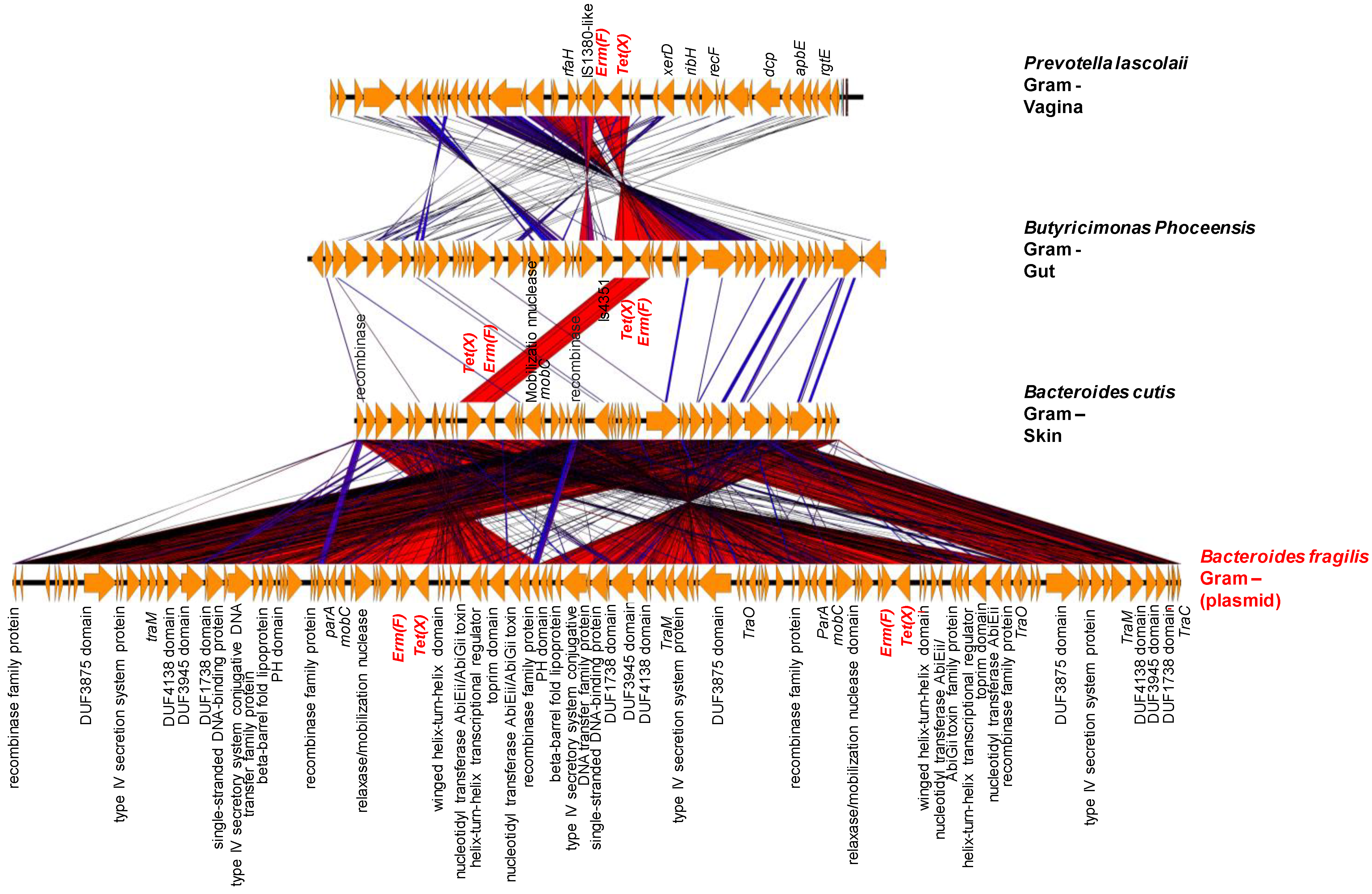Ijms 23 02137 g007 550