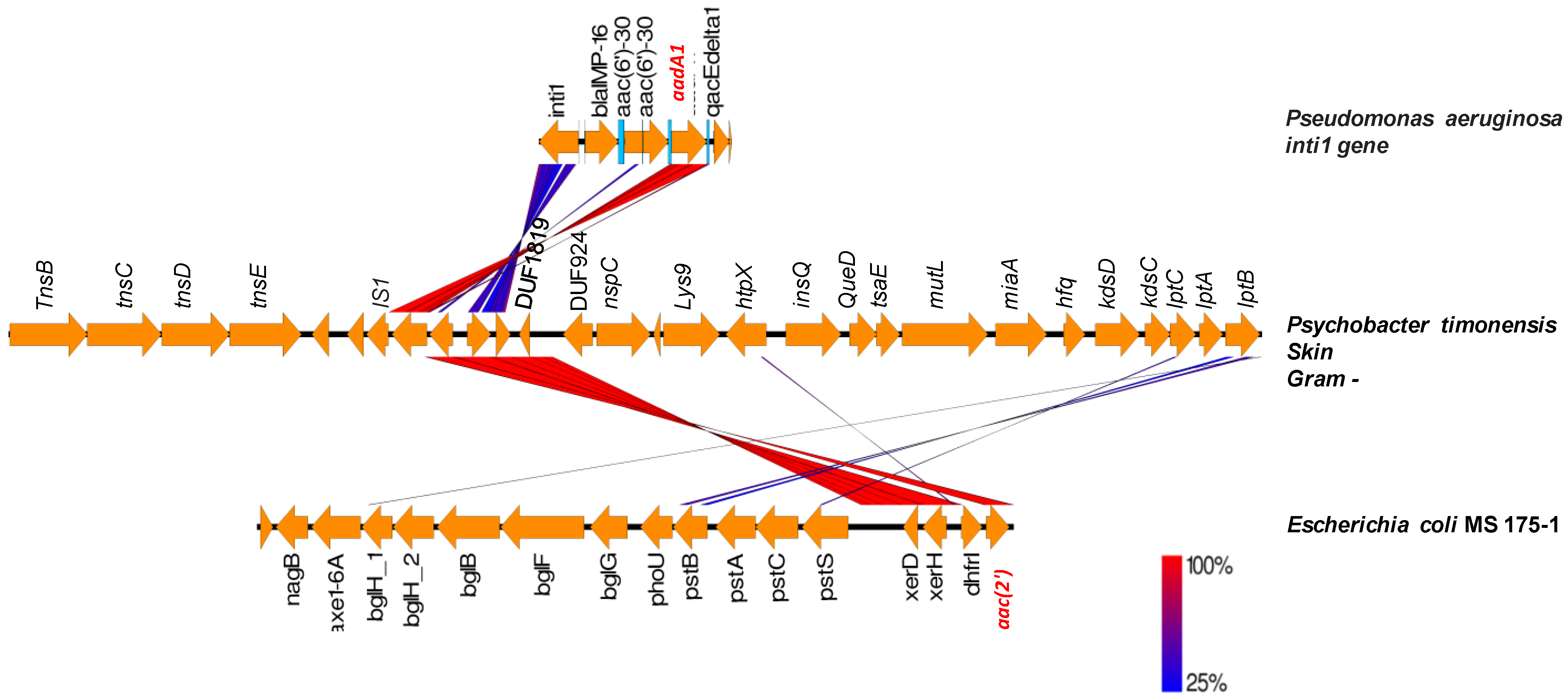 Ijms 23 02137 g008 550