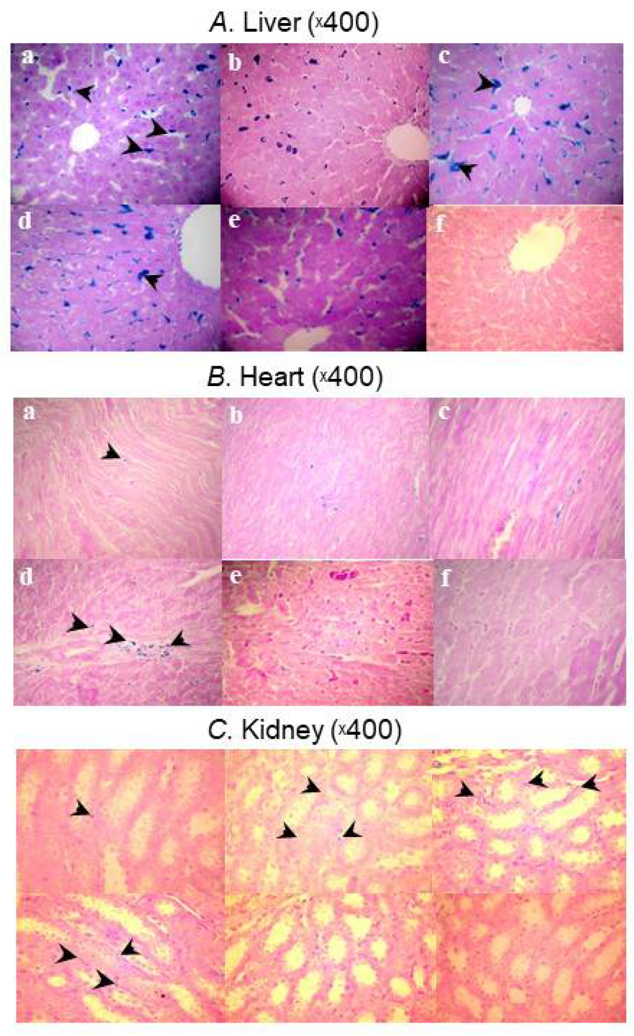 Ijms 23 02140 g002 550