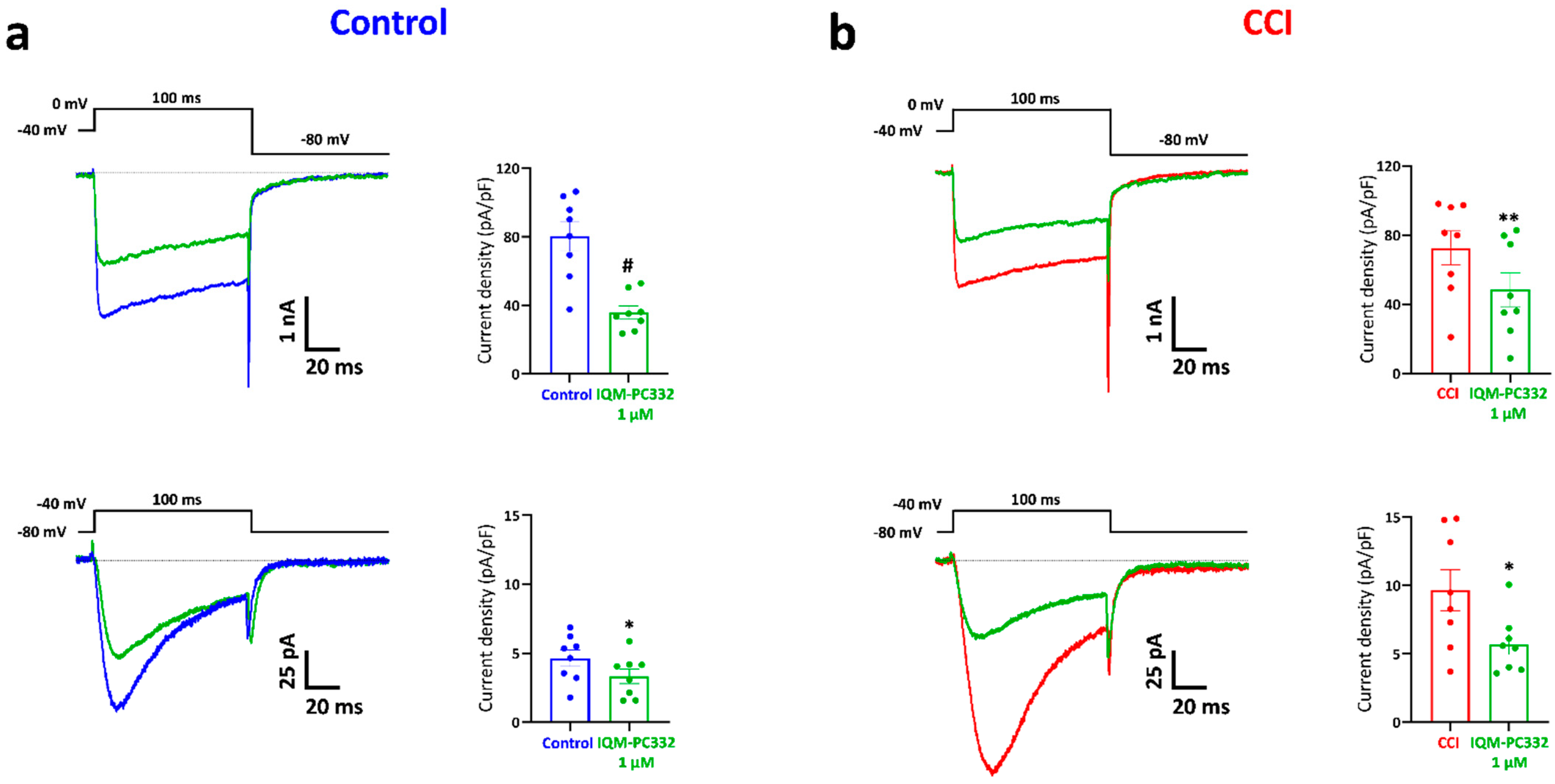 Ijms 23 02142 g004 Ijms 23 02142 g004