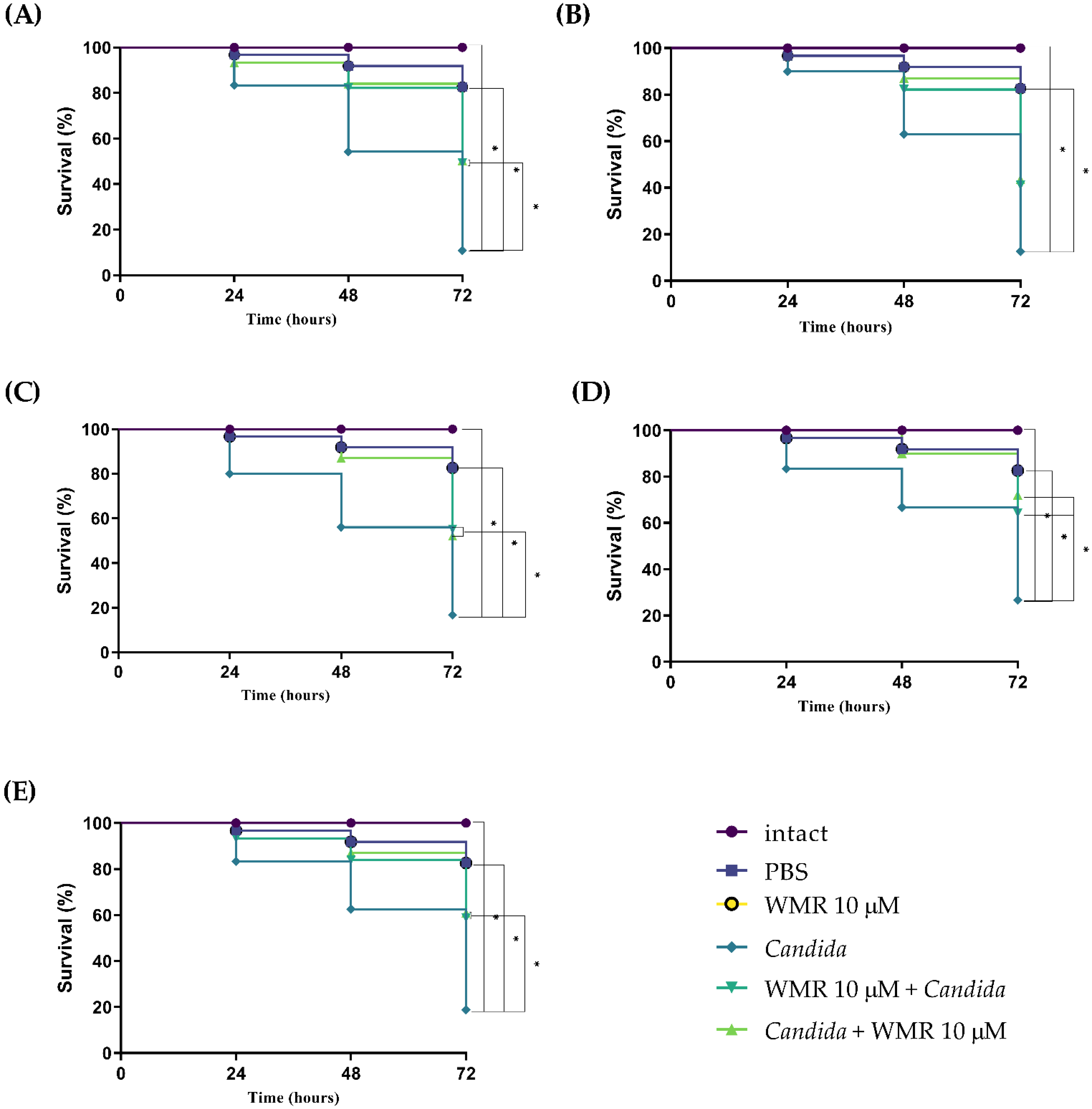 Ijms 23 02151 g004 550