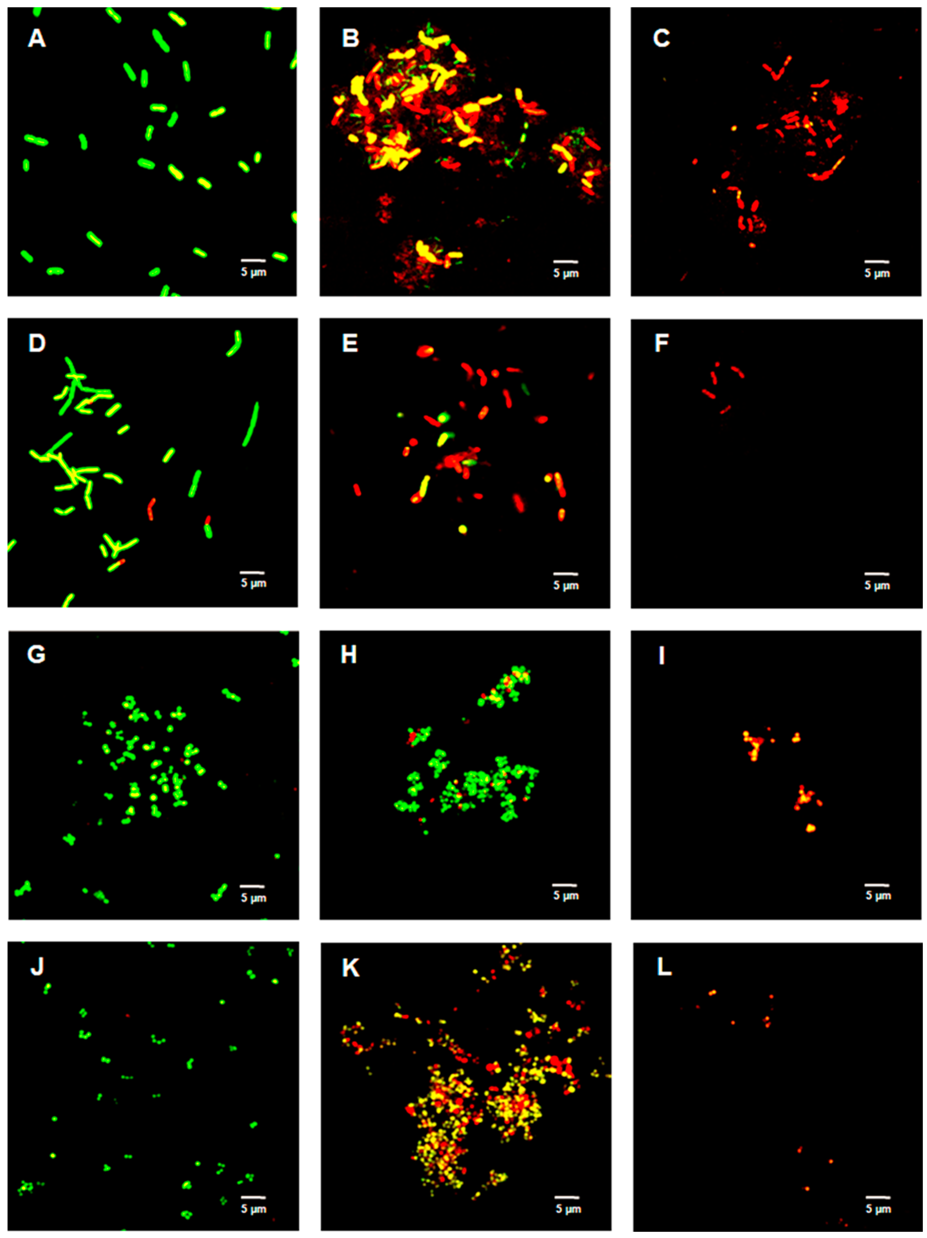 Ijms 23 02153 g003 550