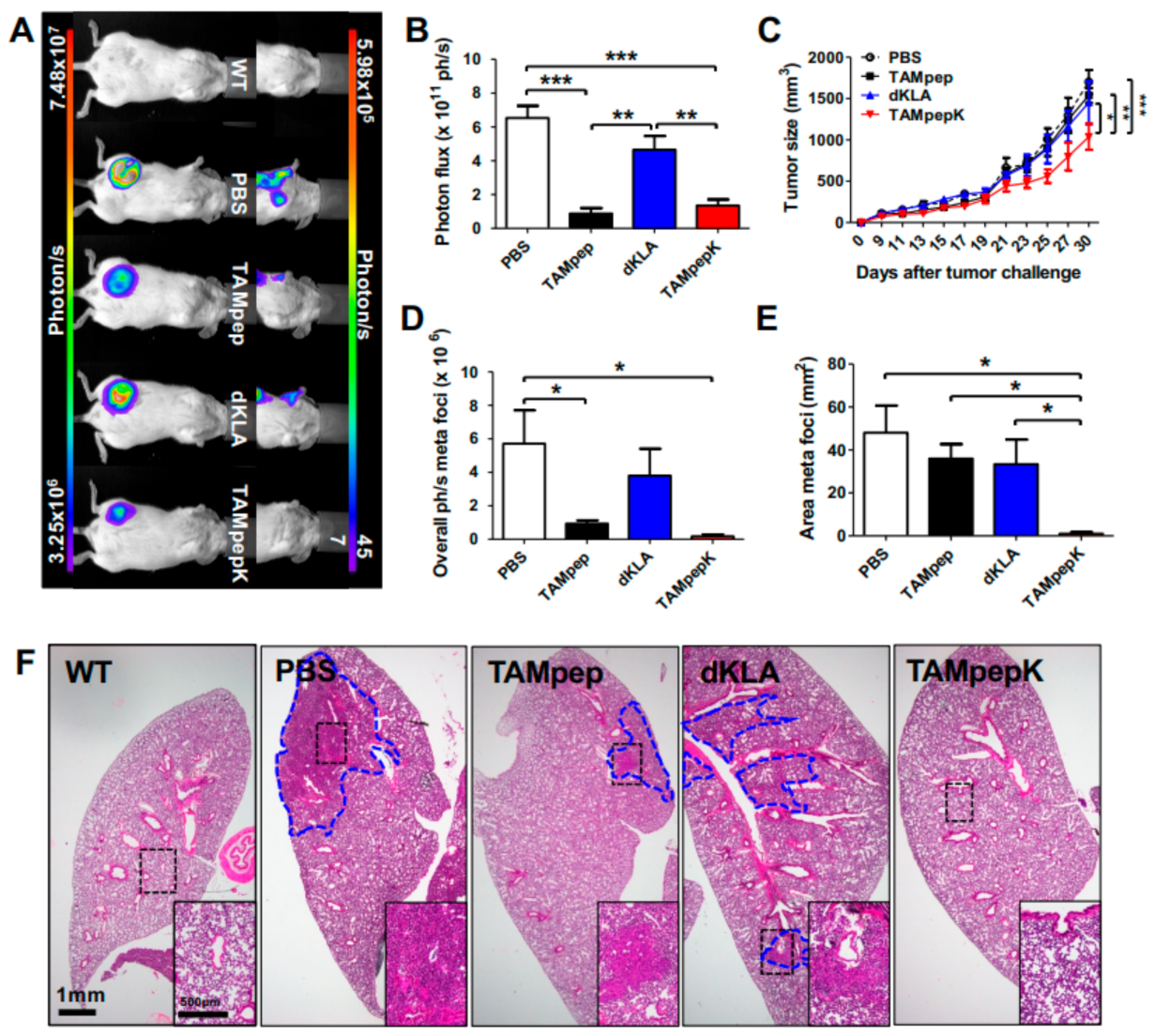 Ijms 23 02157 g001 550