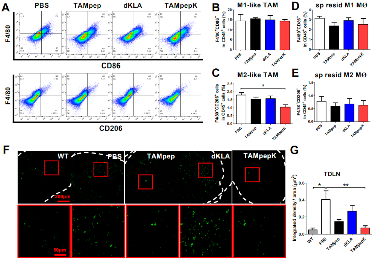 Ijms 23 02157 g002 550