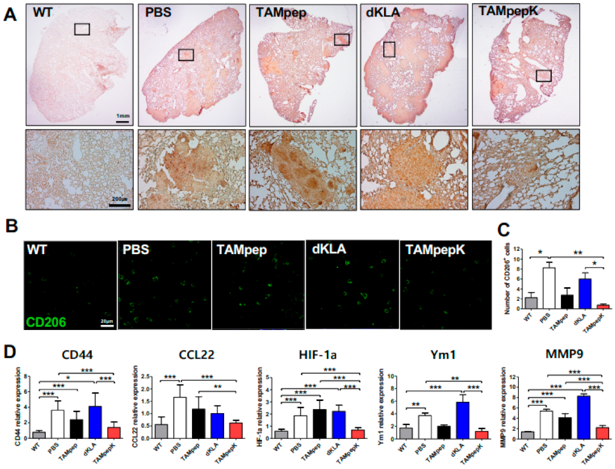 Ijms 23 02157 g004 550