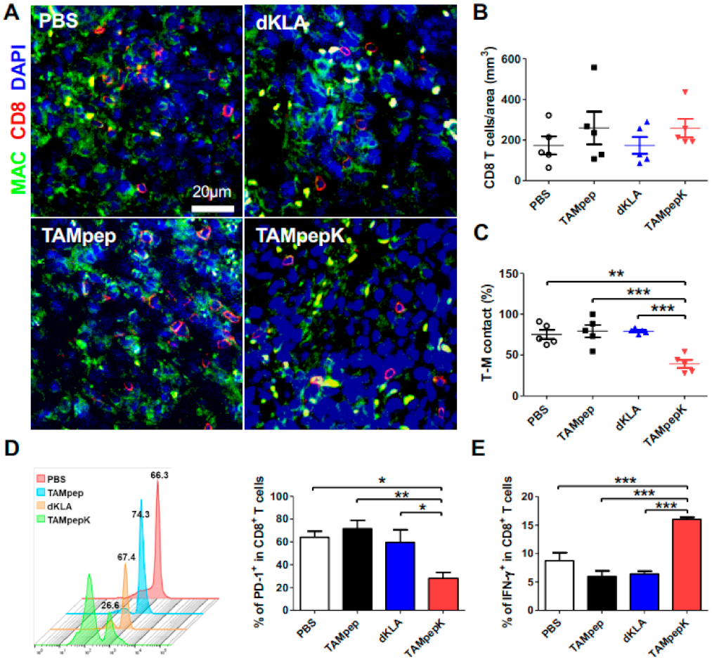 Ijms 23 02157 g005 550
