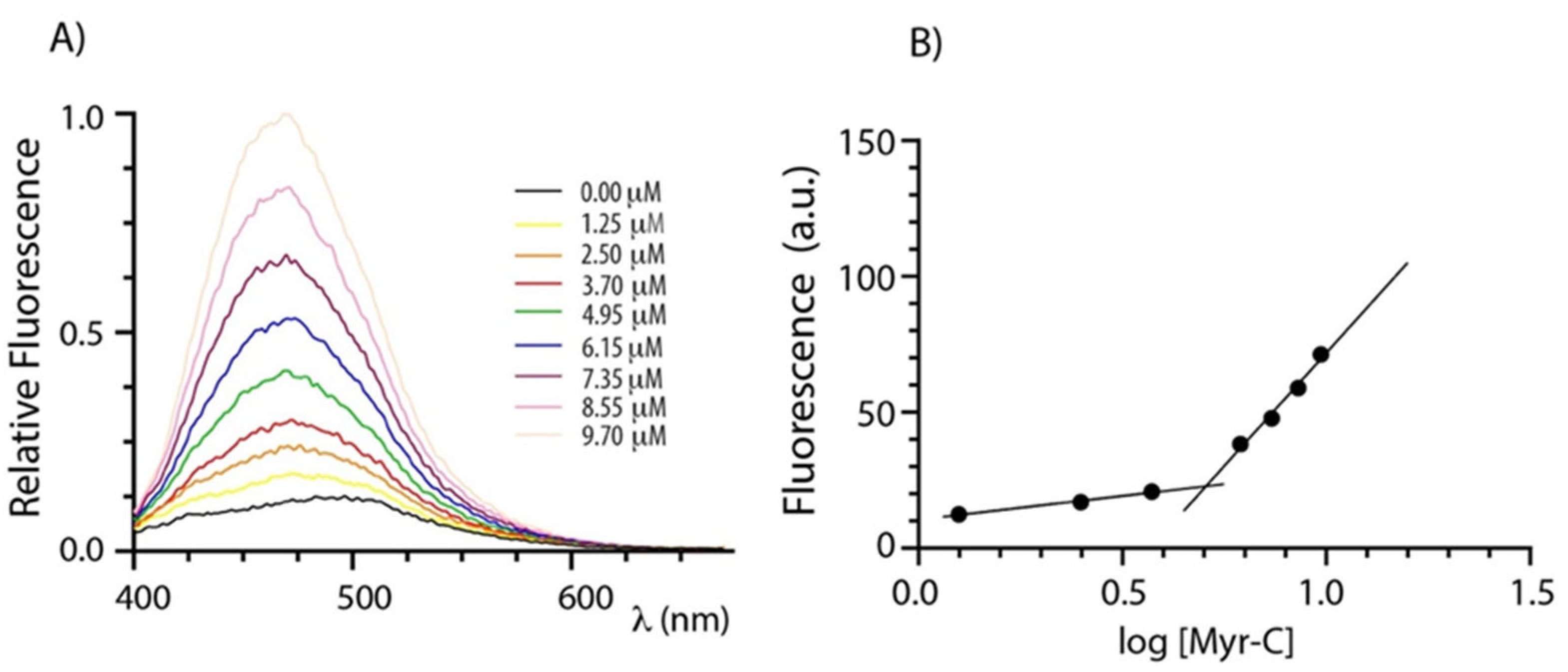 Ijms 23 02164 g001 Ijms 23 02164 g001