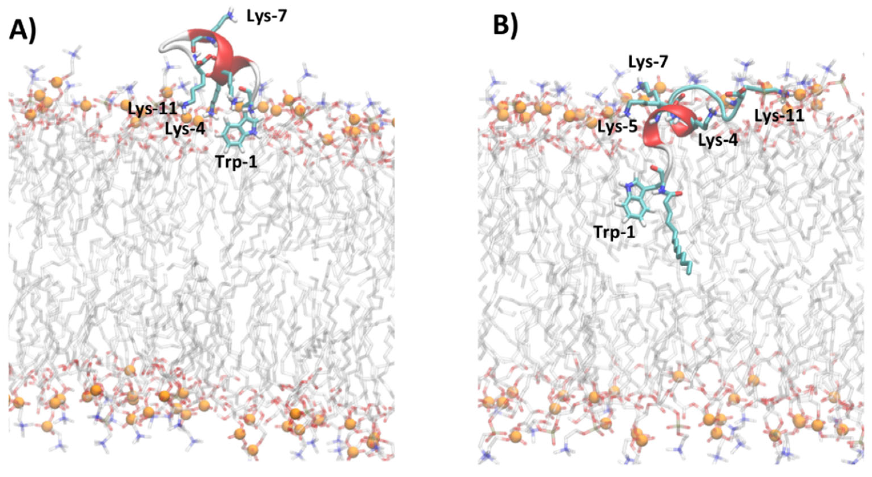Ijms 23 02164 g006 Ijms 23 02164 g006