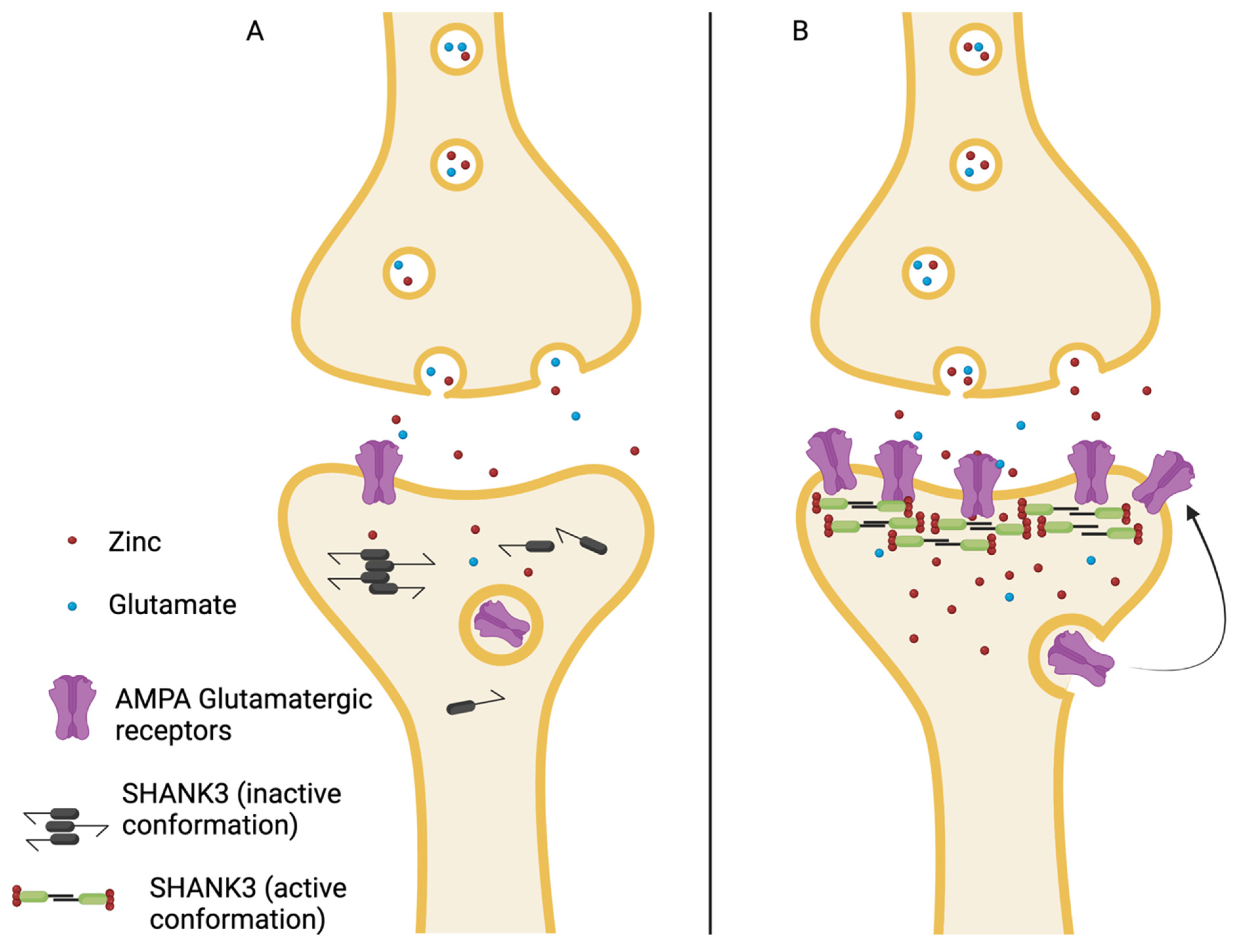 Ijms 23 02167 g002 550