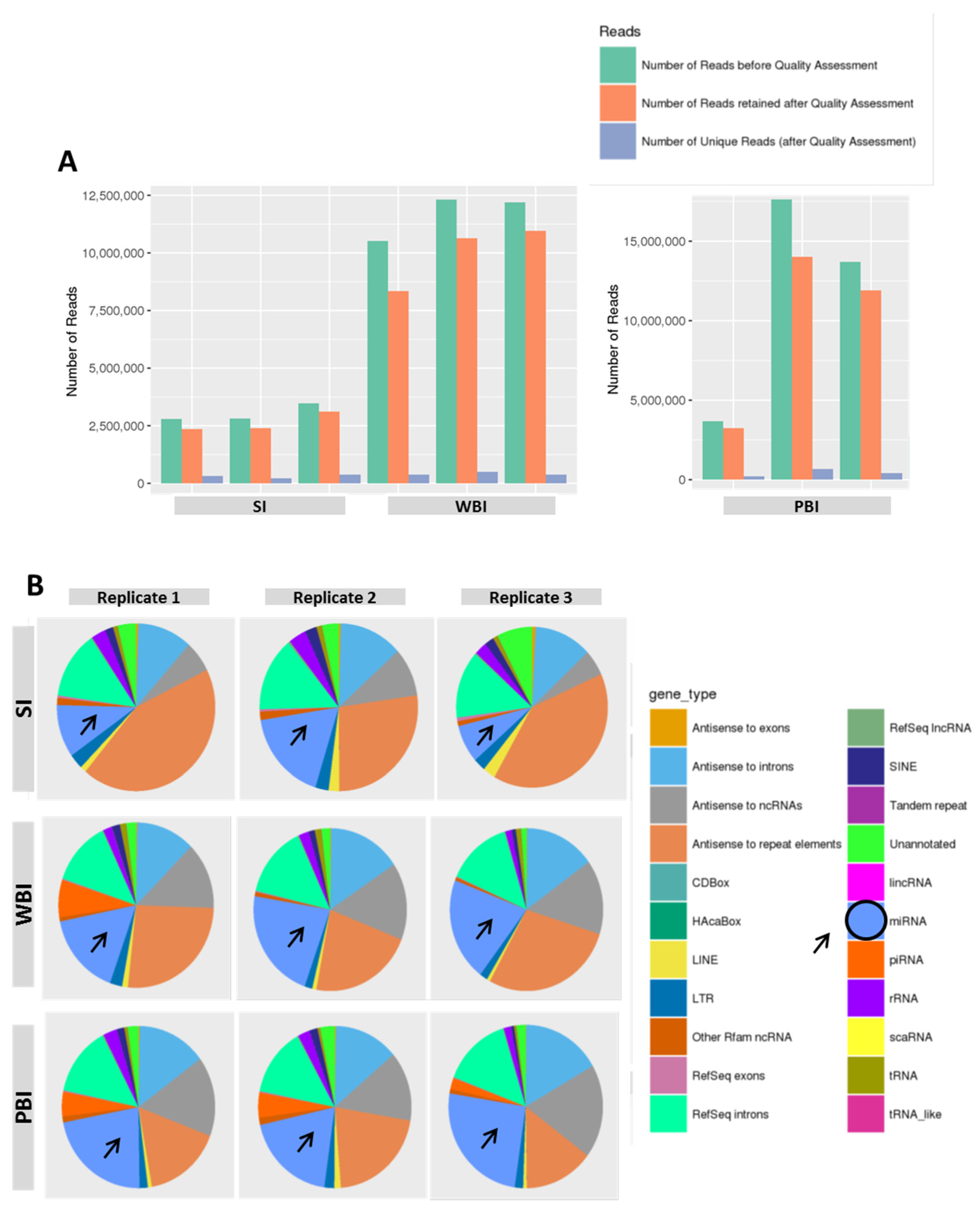 Ijms 23 02169 g002 Ijms 23 02169 g002