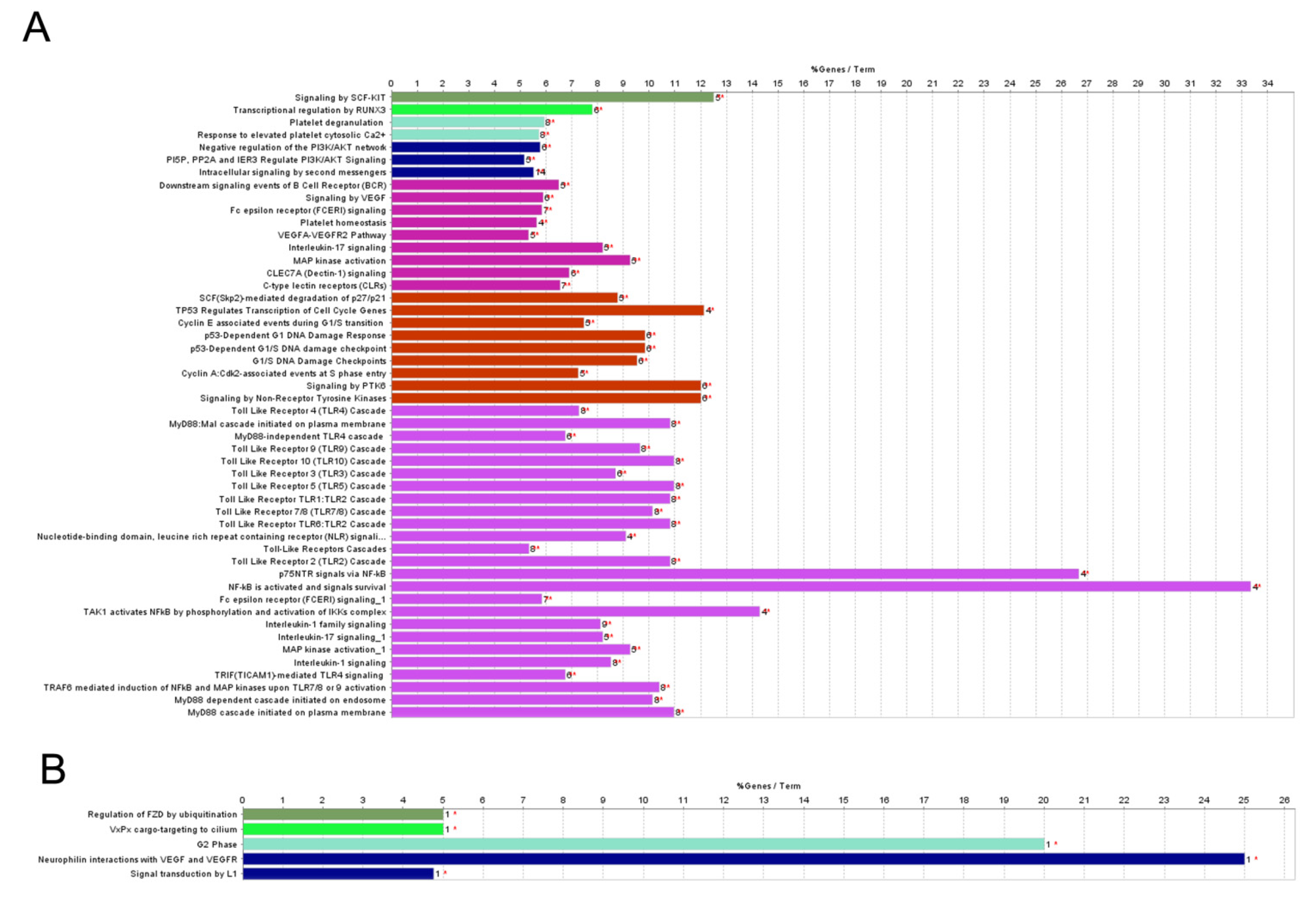 Ijms 23 02169 g004 Ijms 23 02169 g004