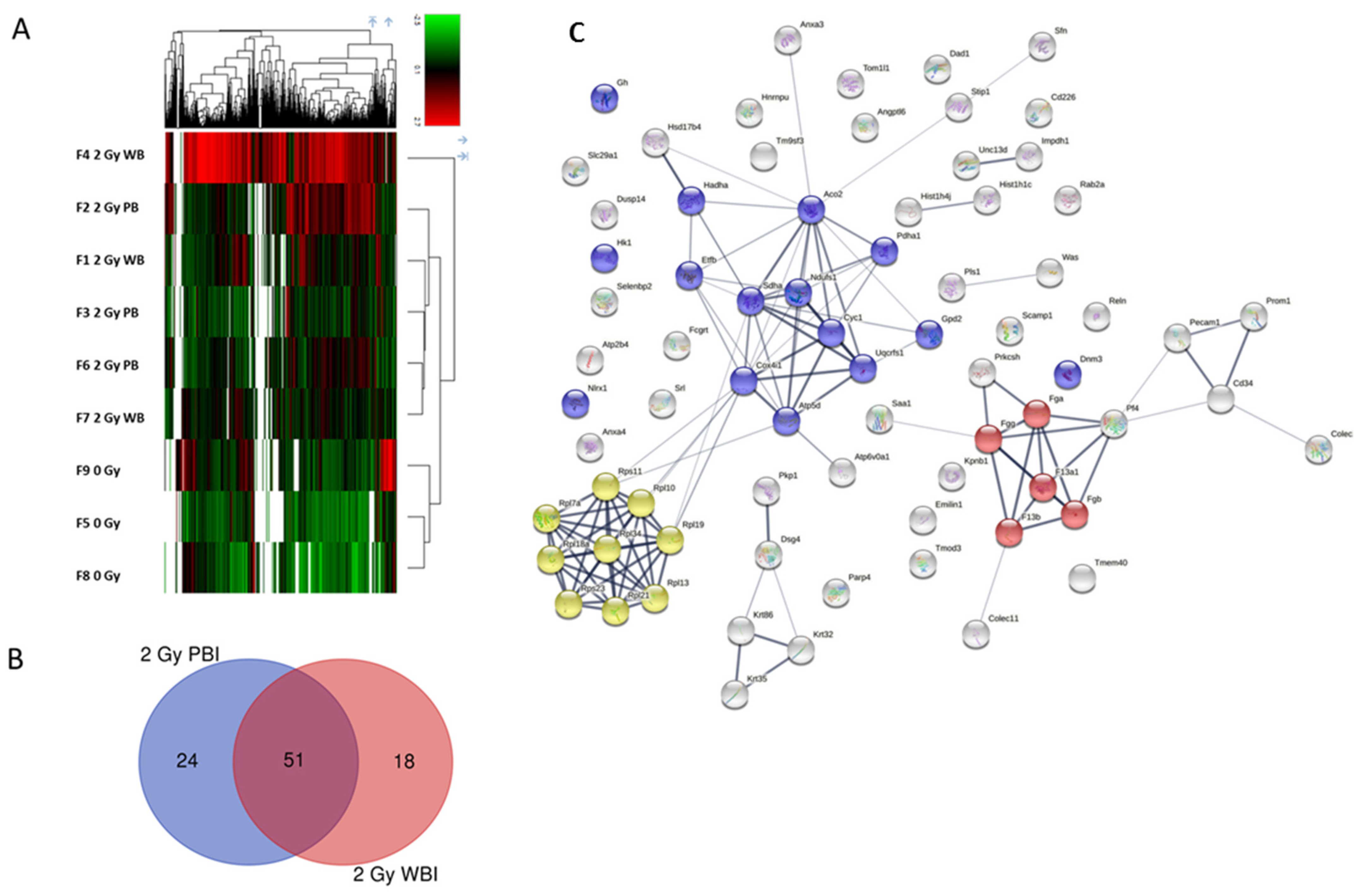 Ijms 23 02169 g005 Ijms 23 02169 g005