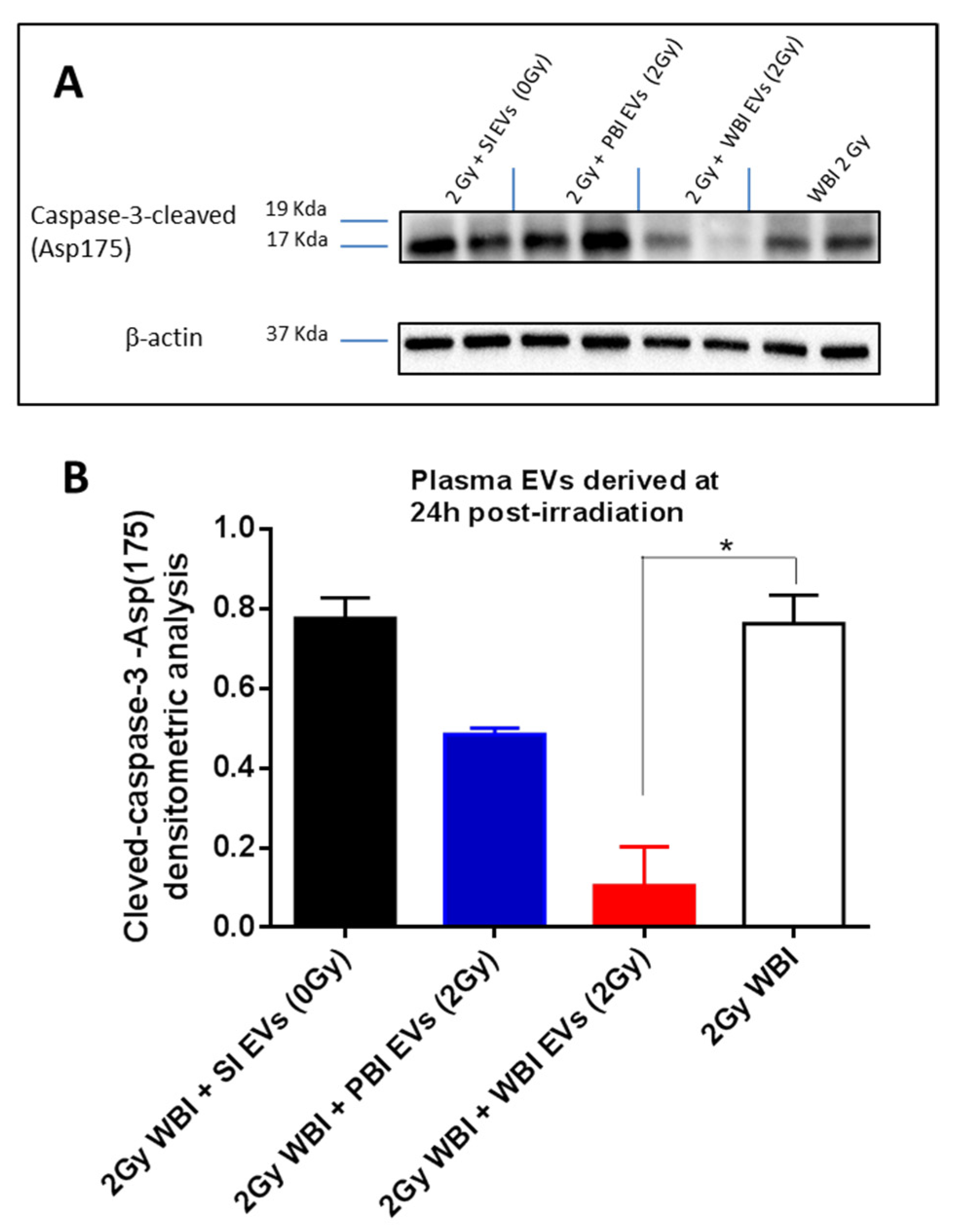 Ijms 23 02169 g007 Ijms 23 02169 g007