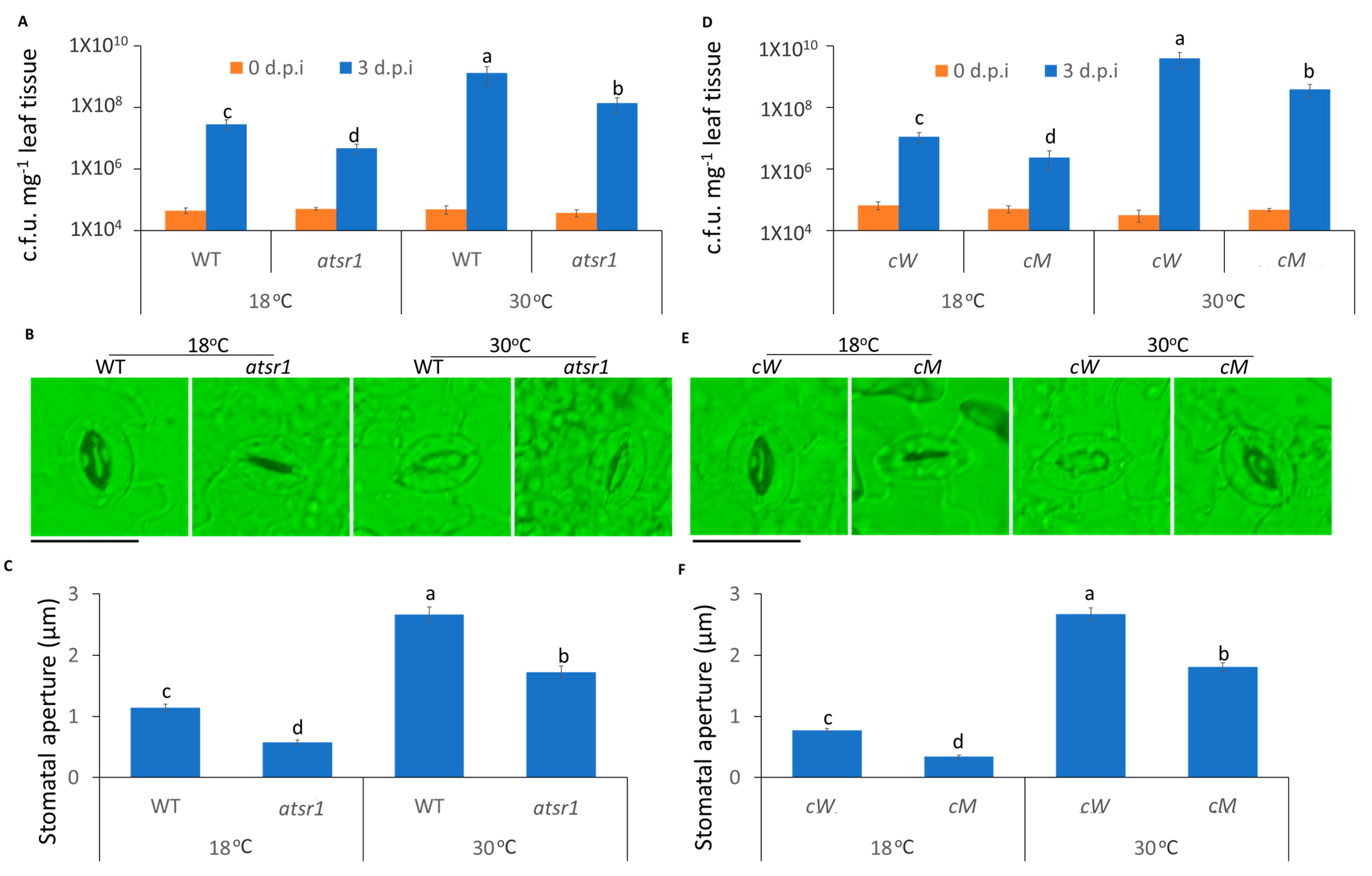 Ijms 23 02175 g002 Ijms 23 02175 g002