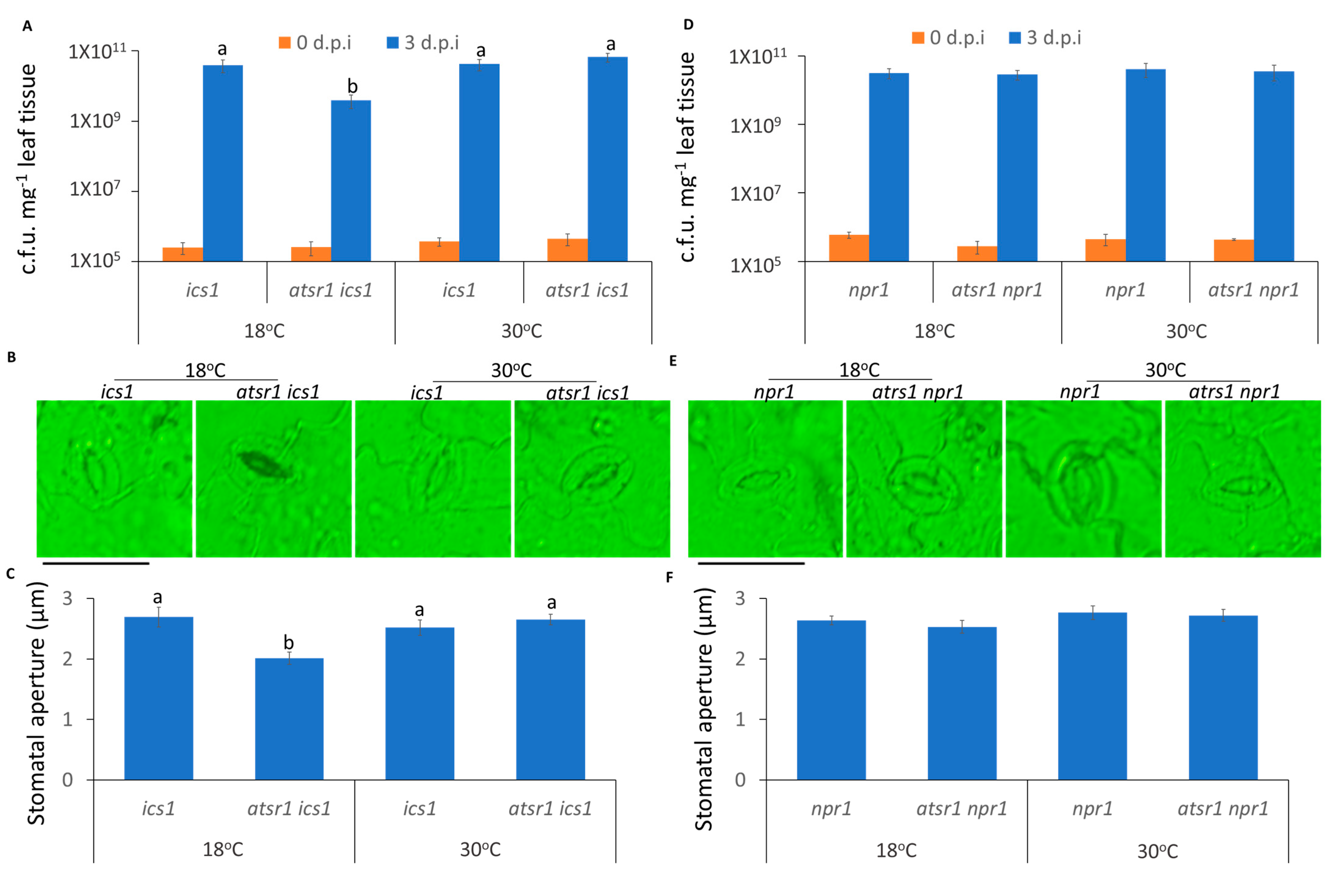 Ijms 23 02175 g003 Ijms 23 02175 g003
