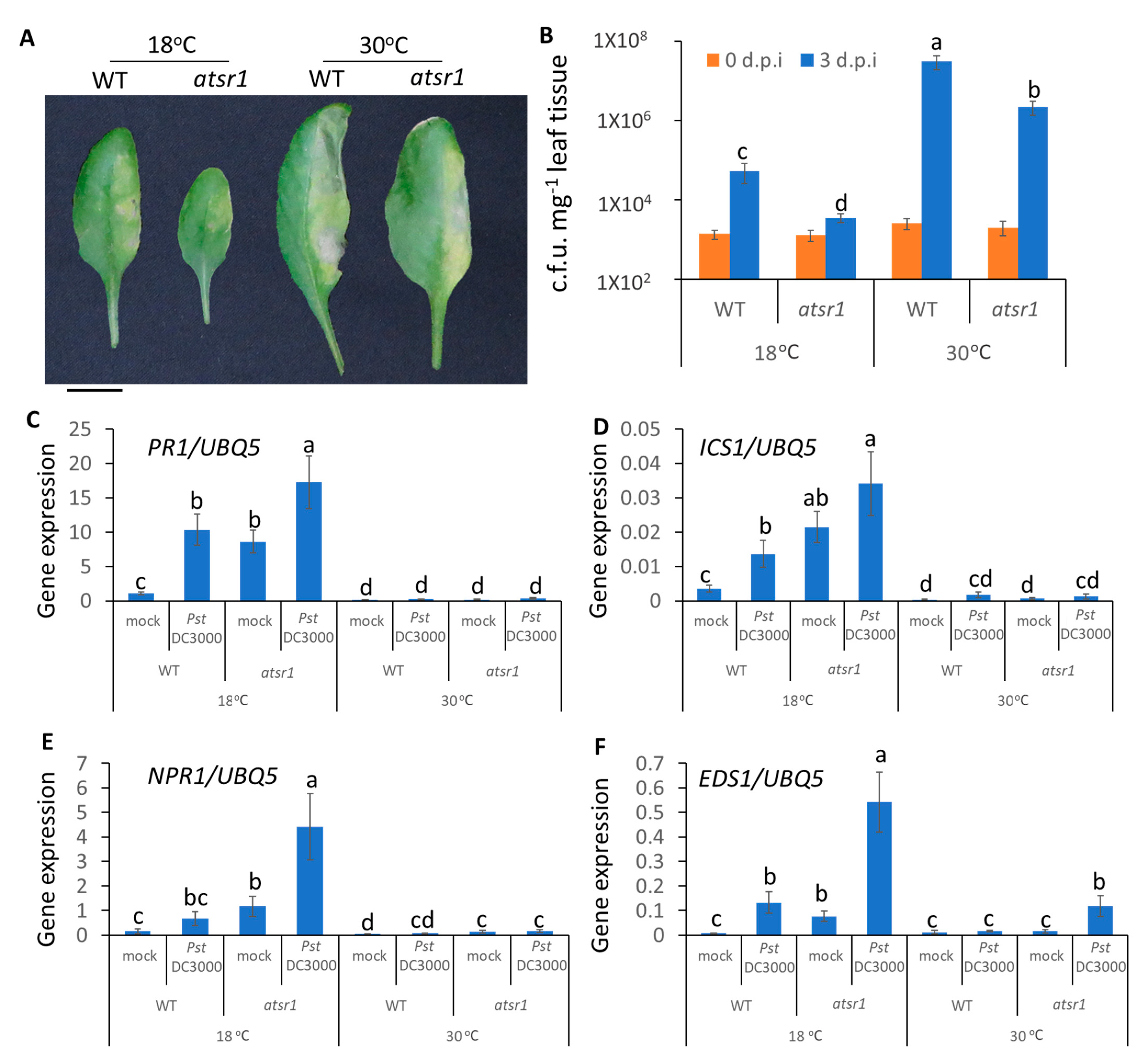 Ijms 23 02175 g004 Ijms 23 02175 g004
