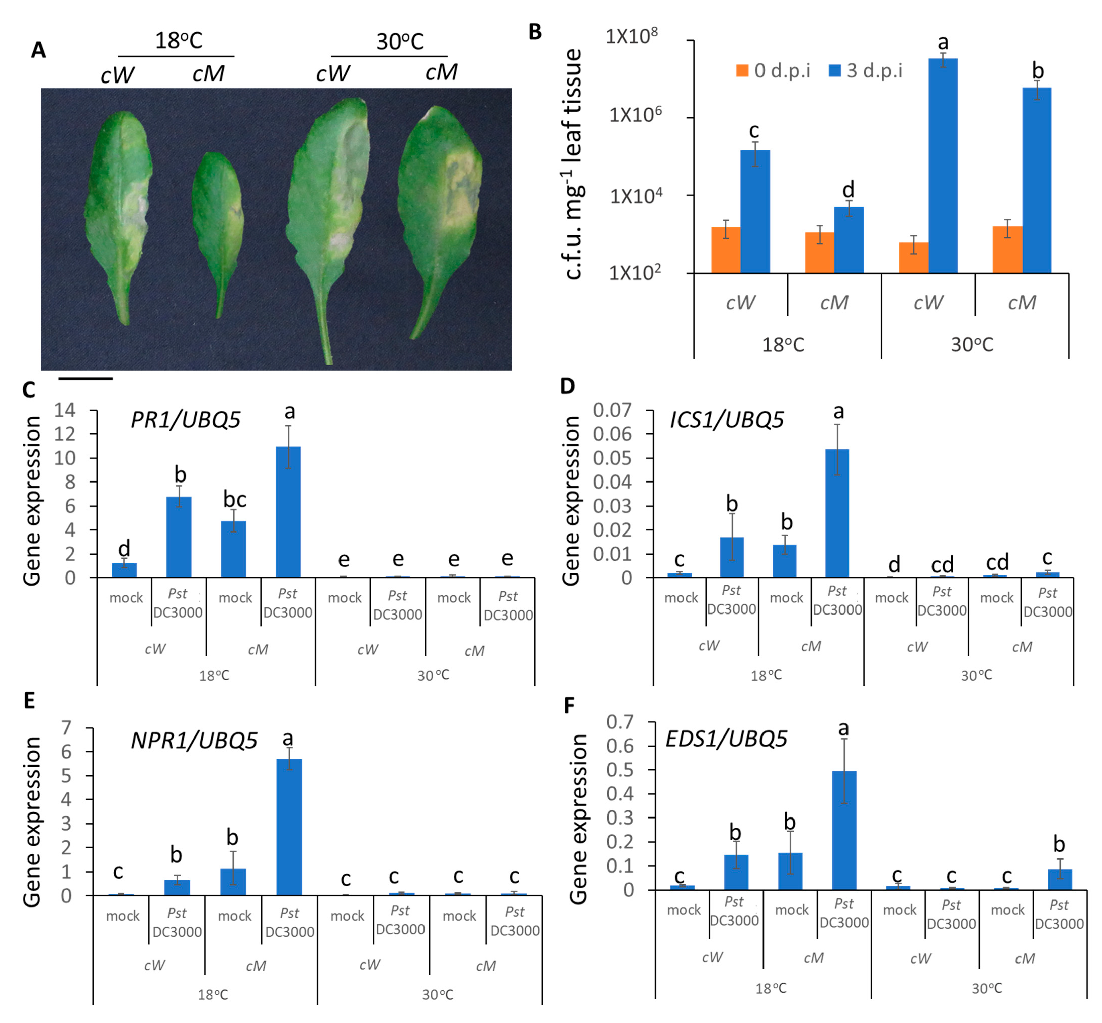 Ijms 23 02175 g005 Ijms 23 02175 g005