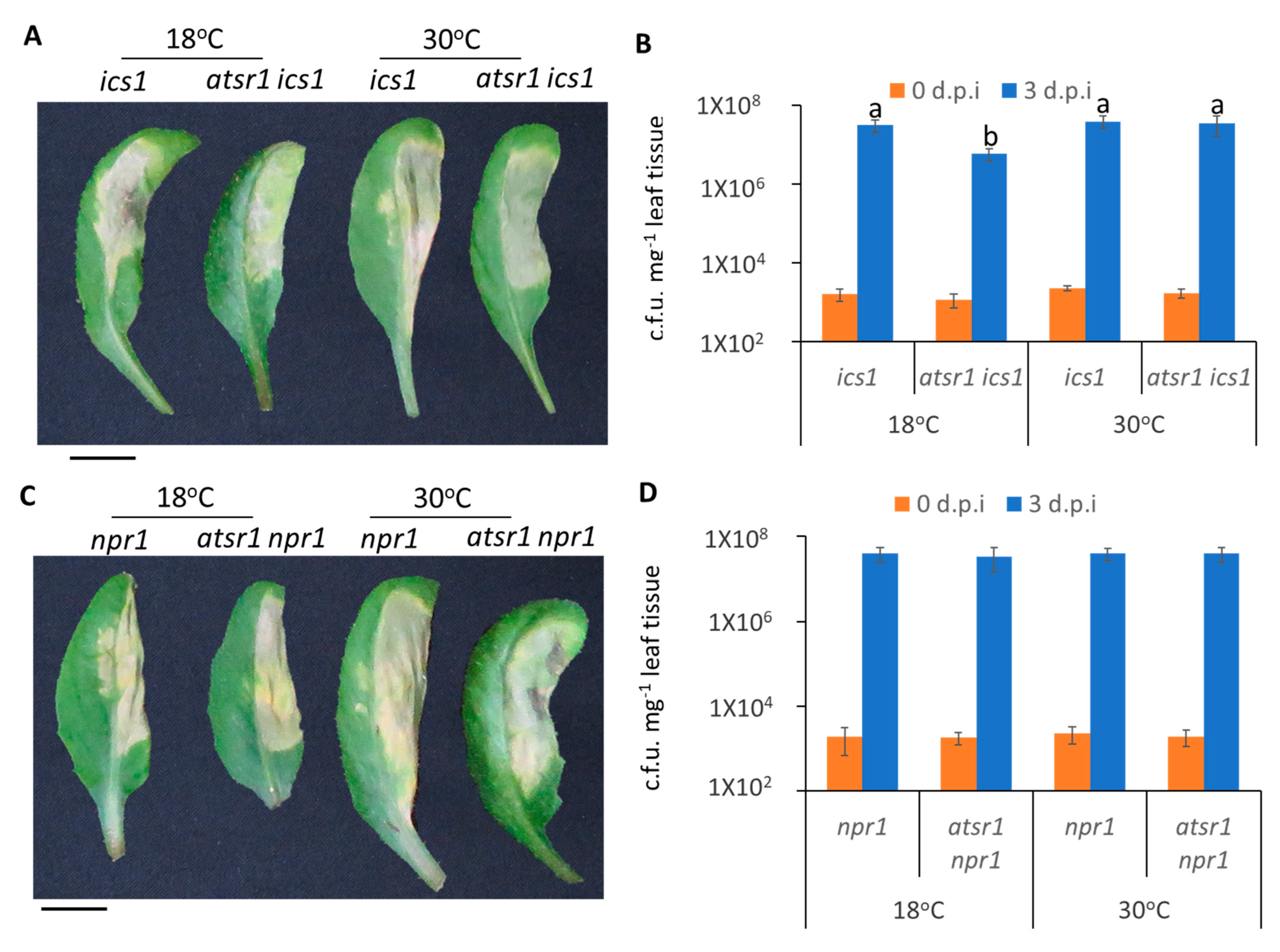 Ijms 23 02175 g006 Ijms 23 02175 g006