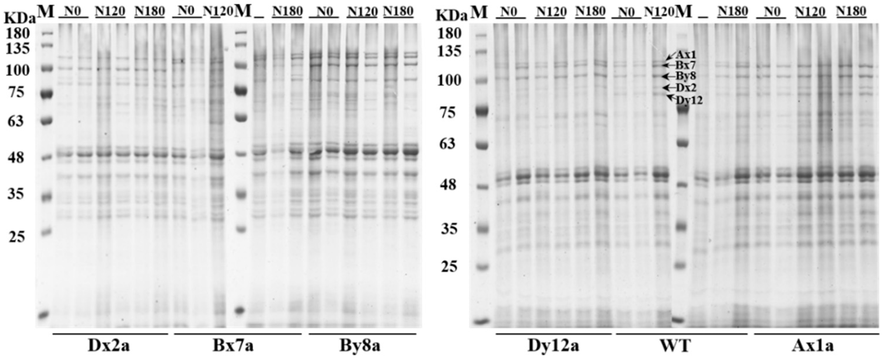 Ijms 23 02178 g002 550