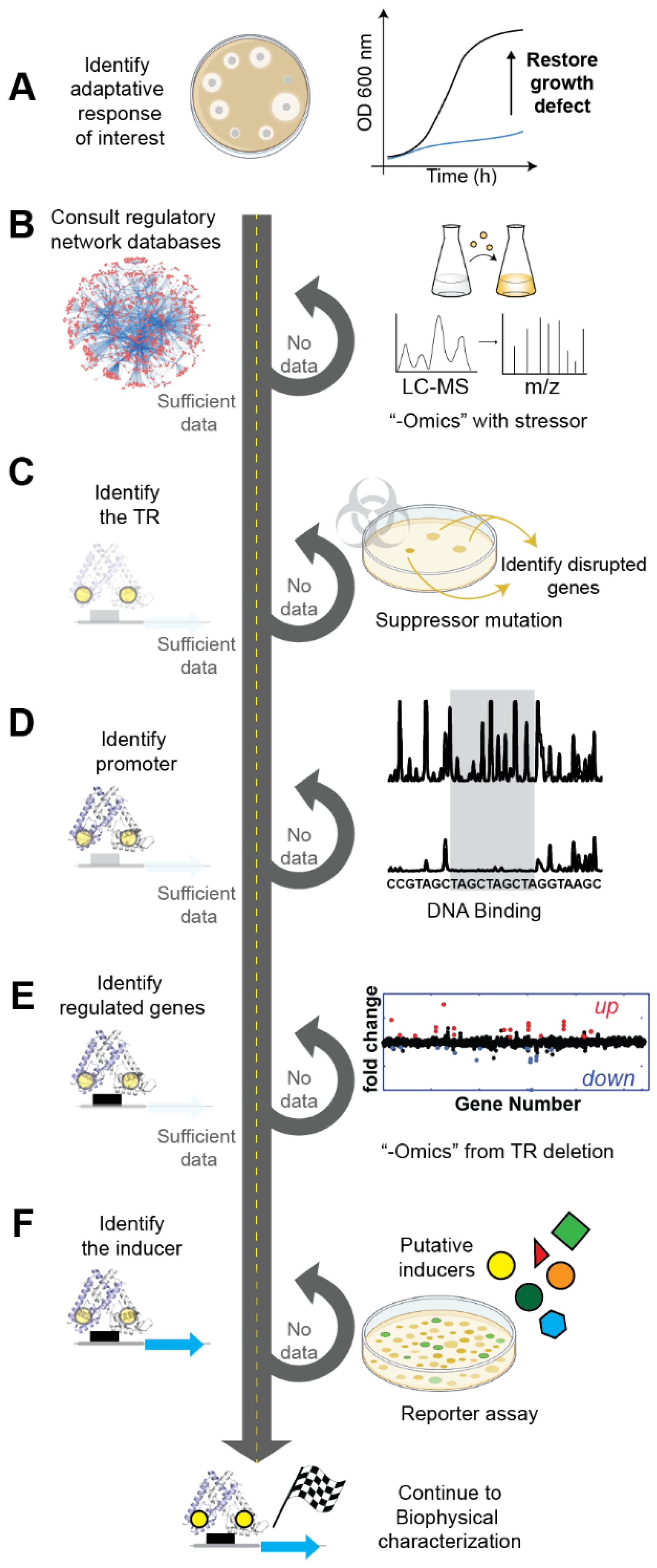 Ijms 23 02179 g001 550
