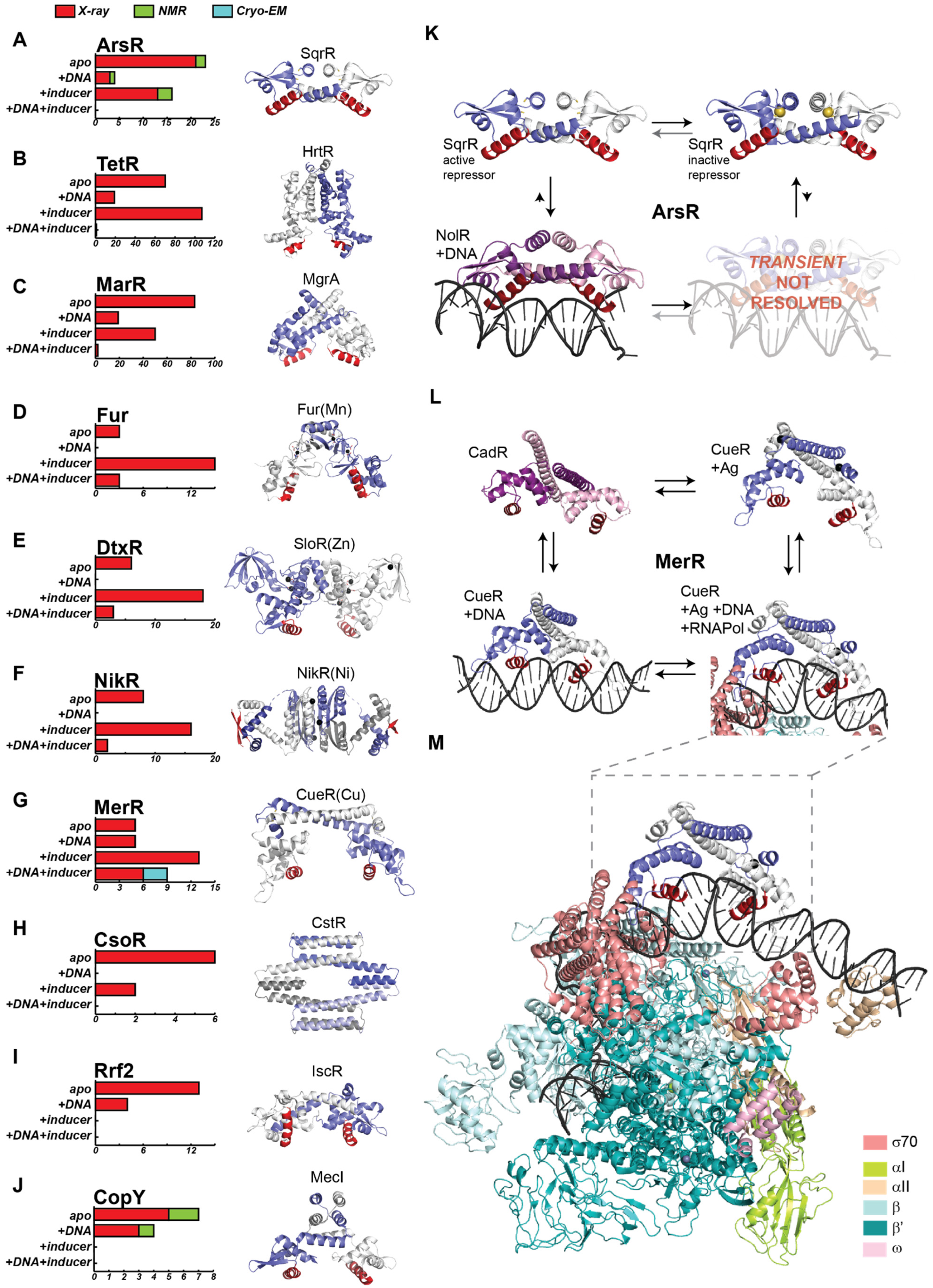 Ijms 23 02179 g003 550
