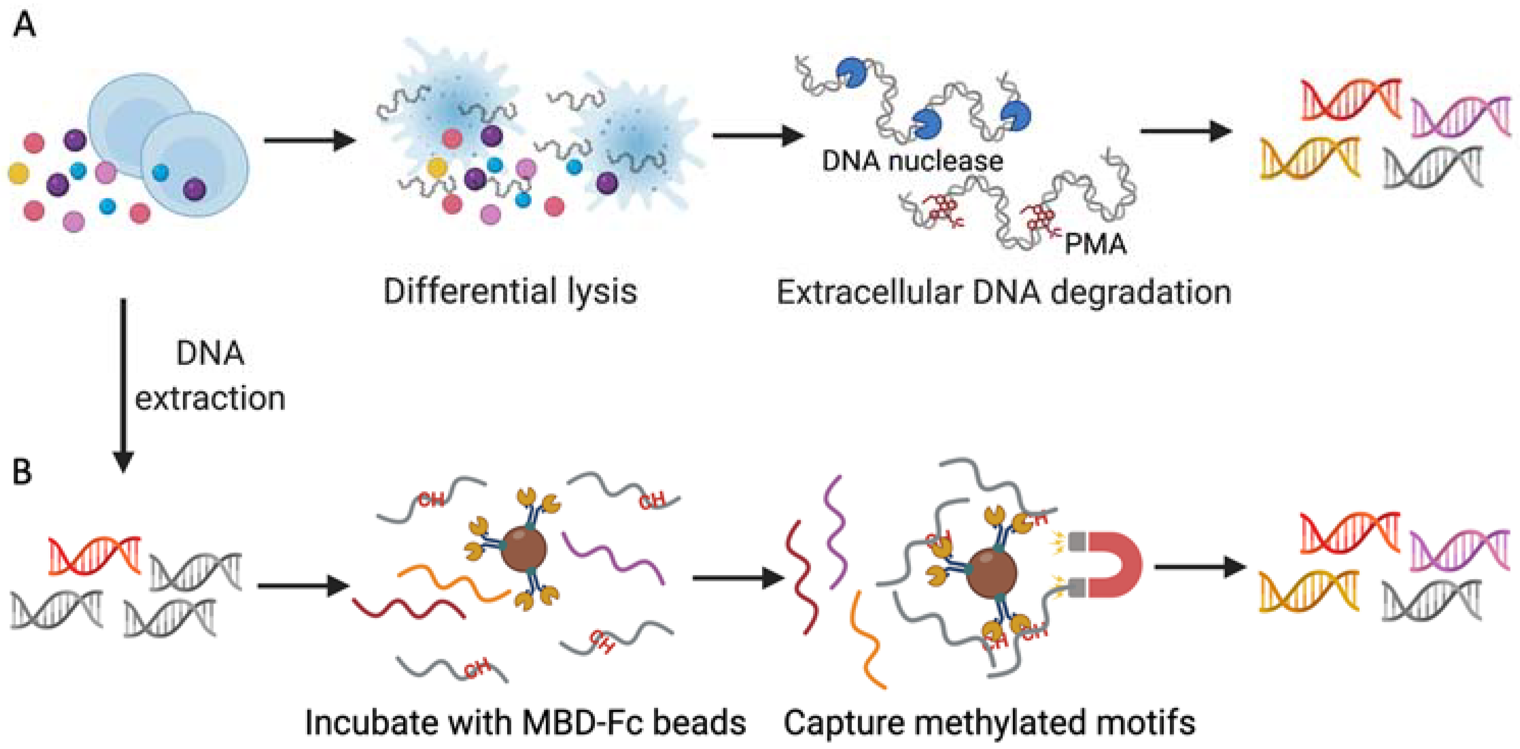 Ijms 23 02181 g002 550