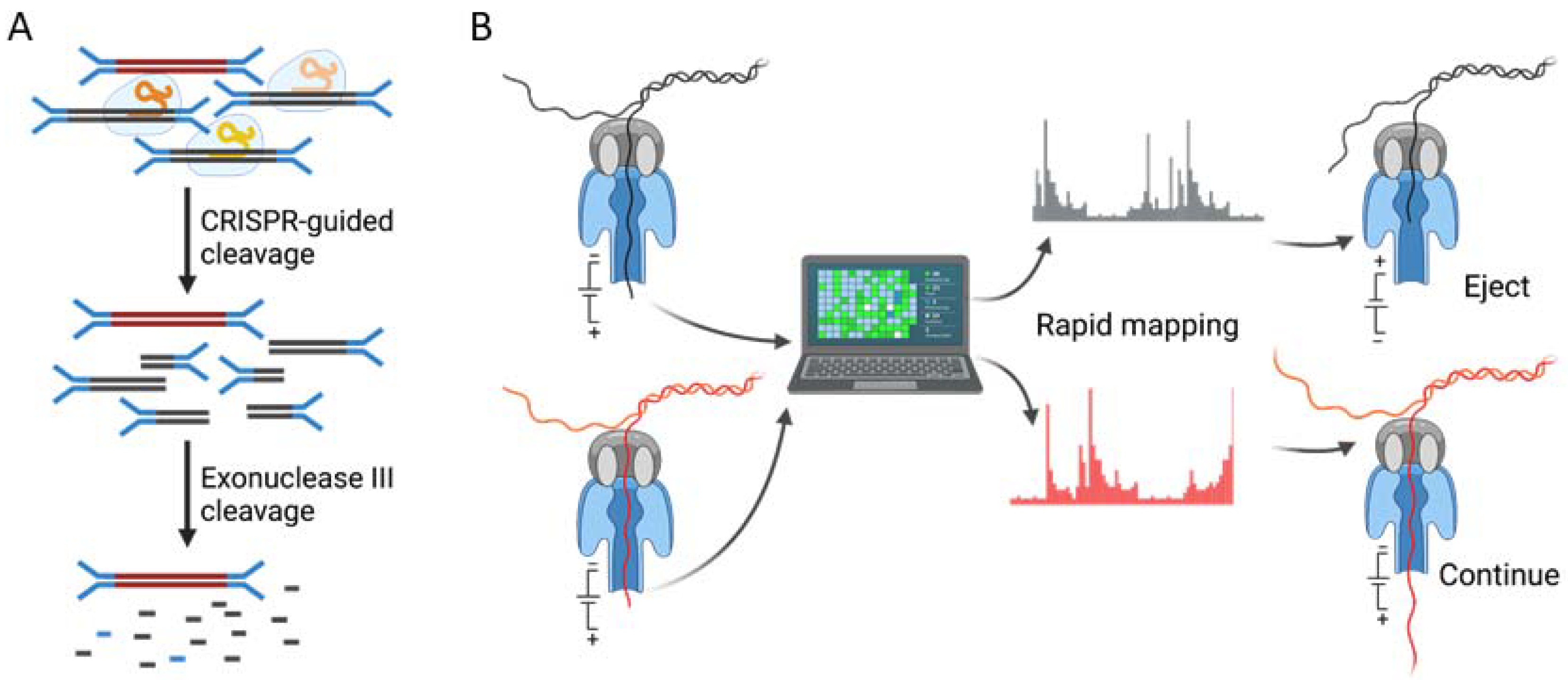 Ijms 23 02181 g003 550