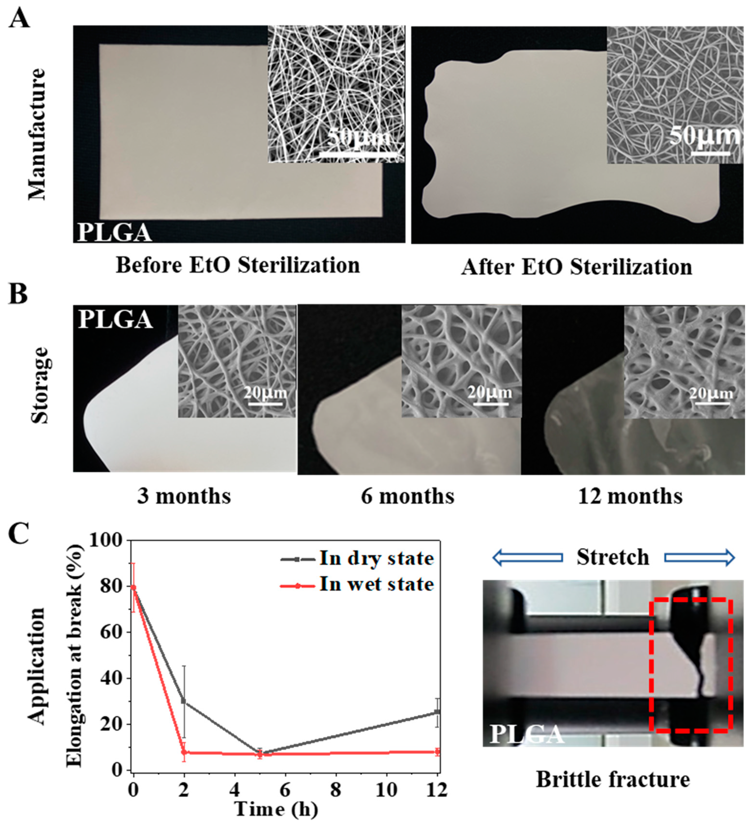 Ijms 23 02185 g001 550