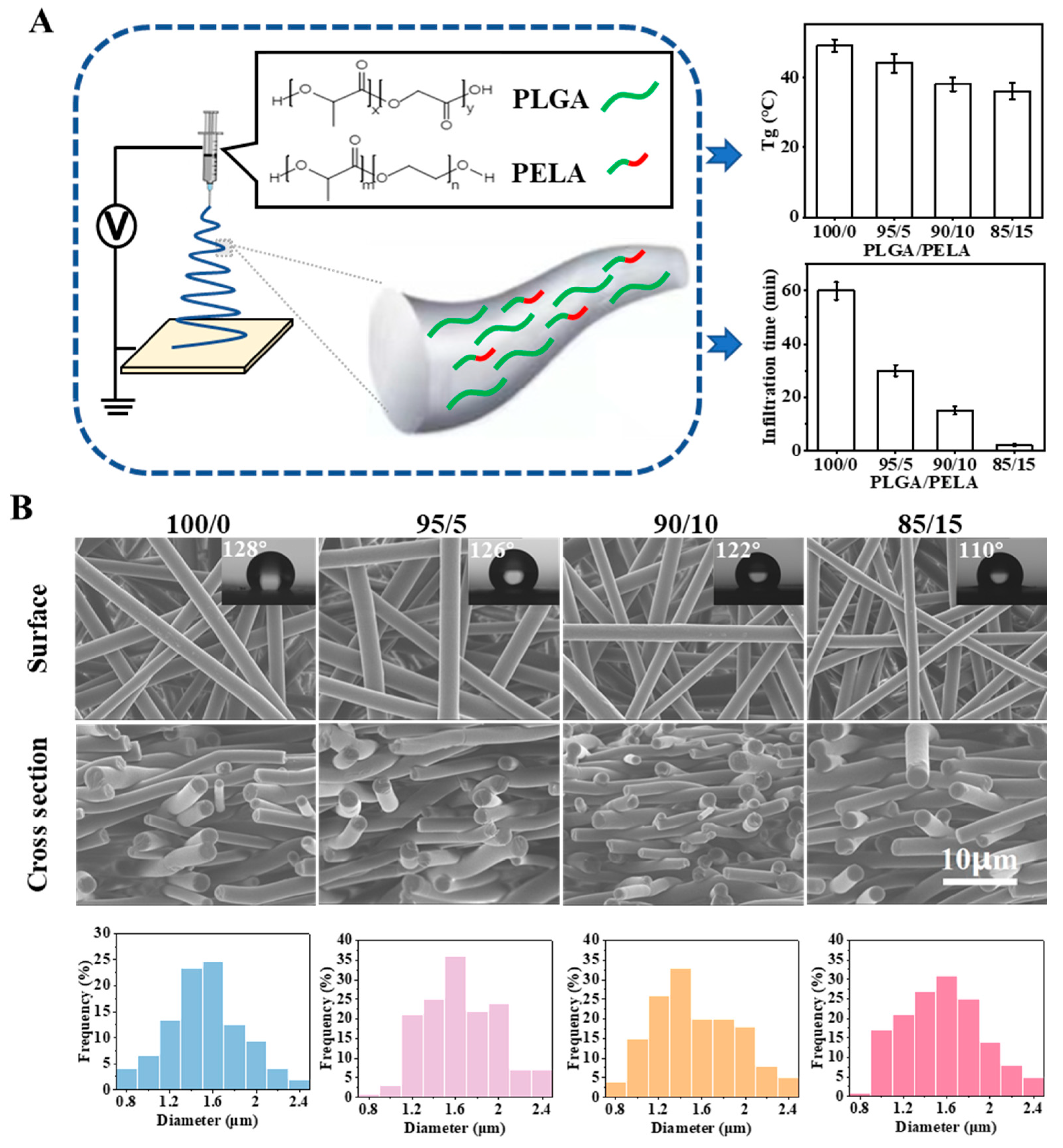 Ijms 23 02185 g002 550