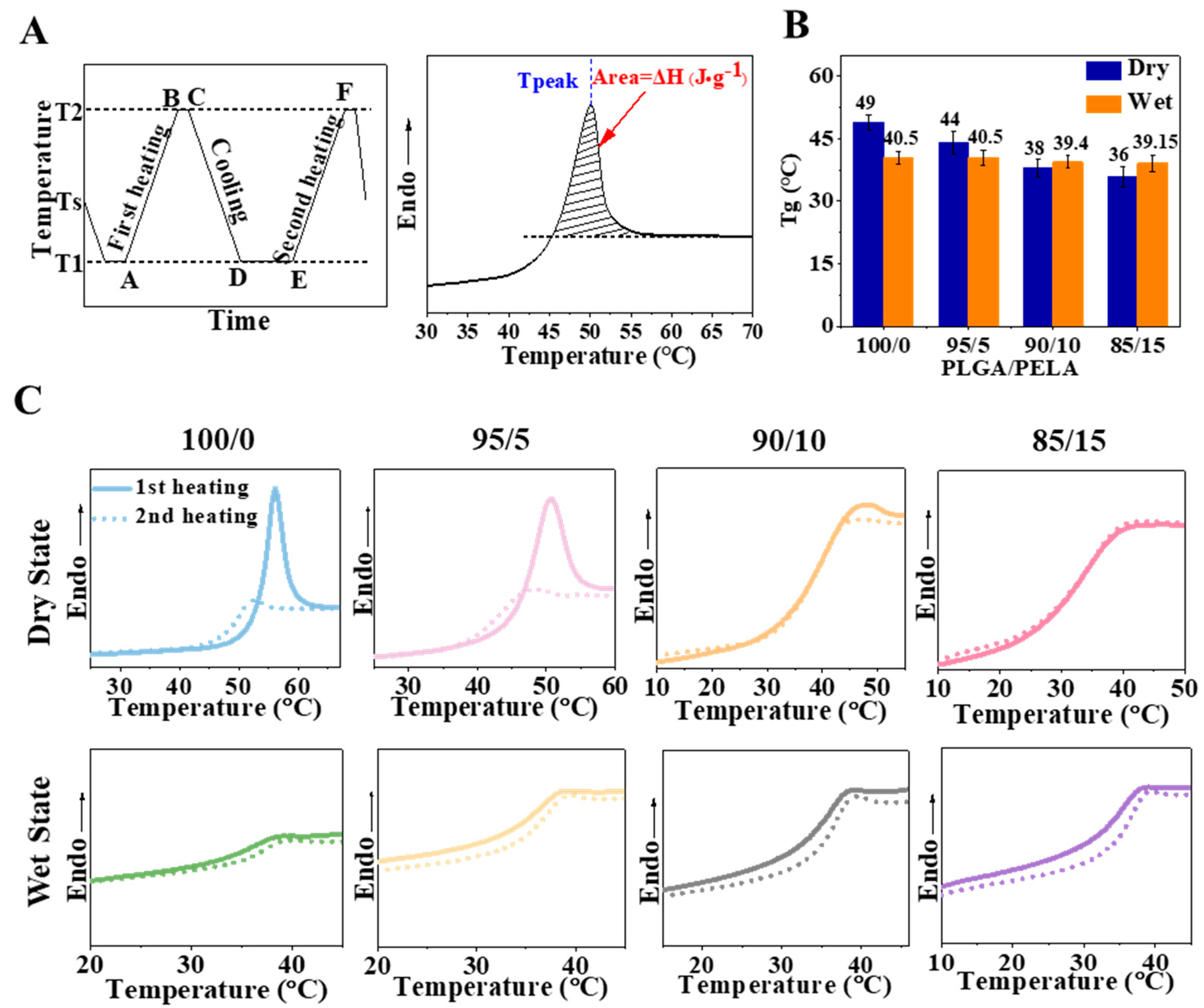 Ijms 23 02185 g004 550