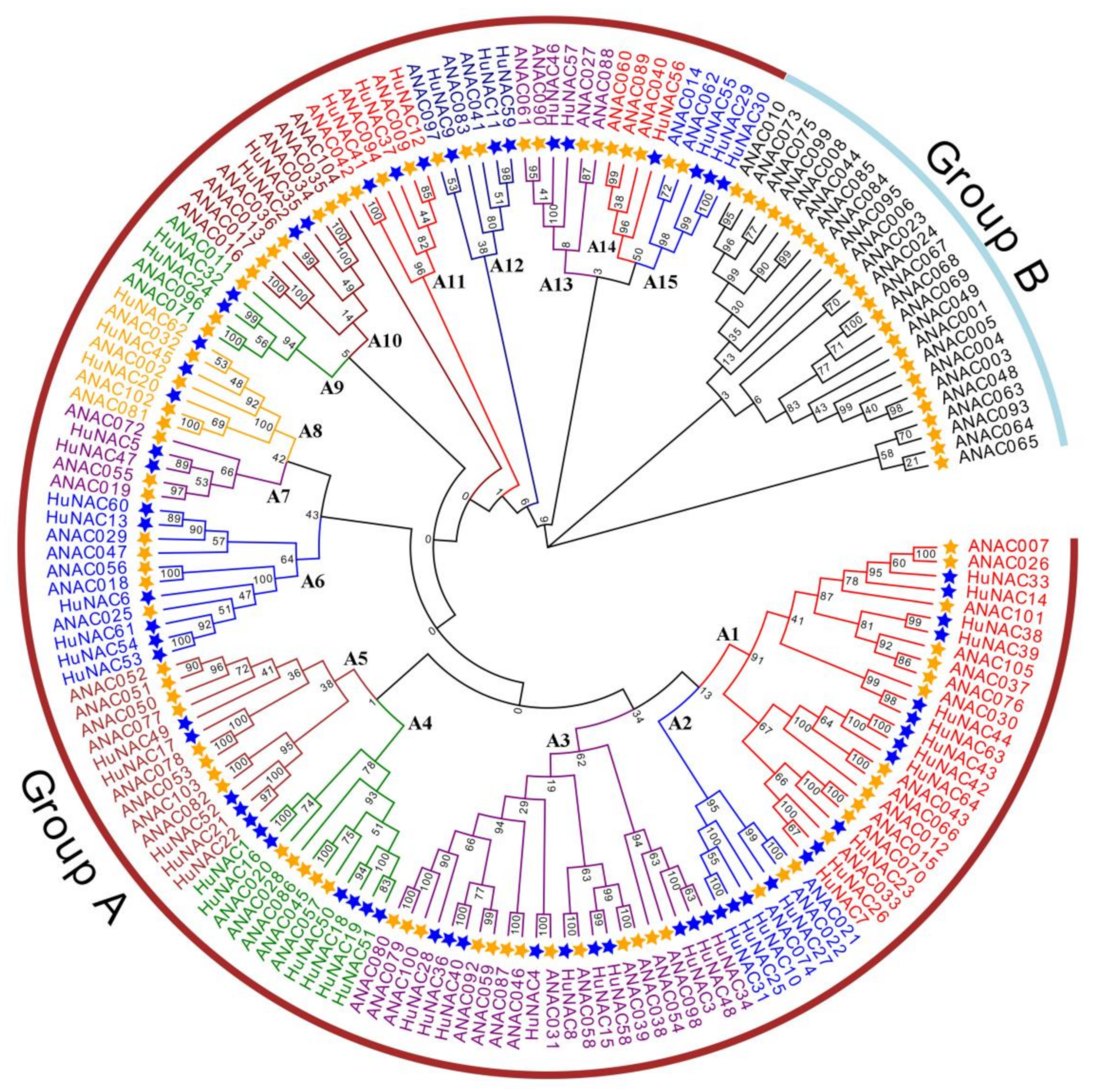 Ijms 23 02189 g001 550