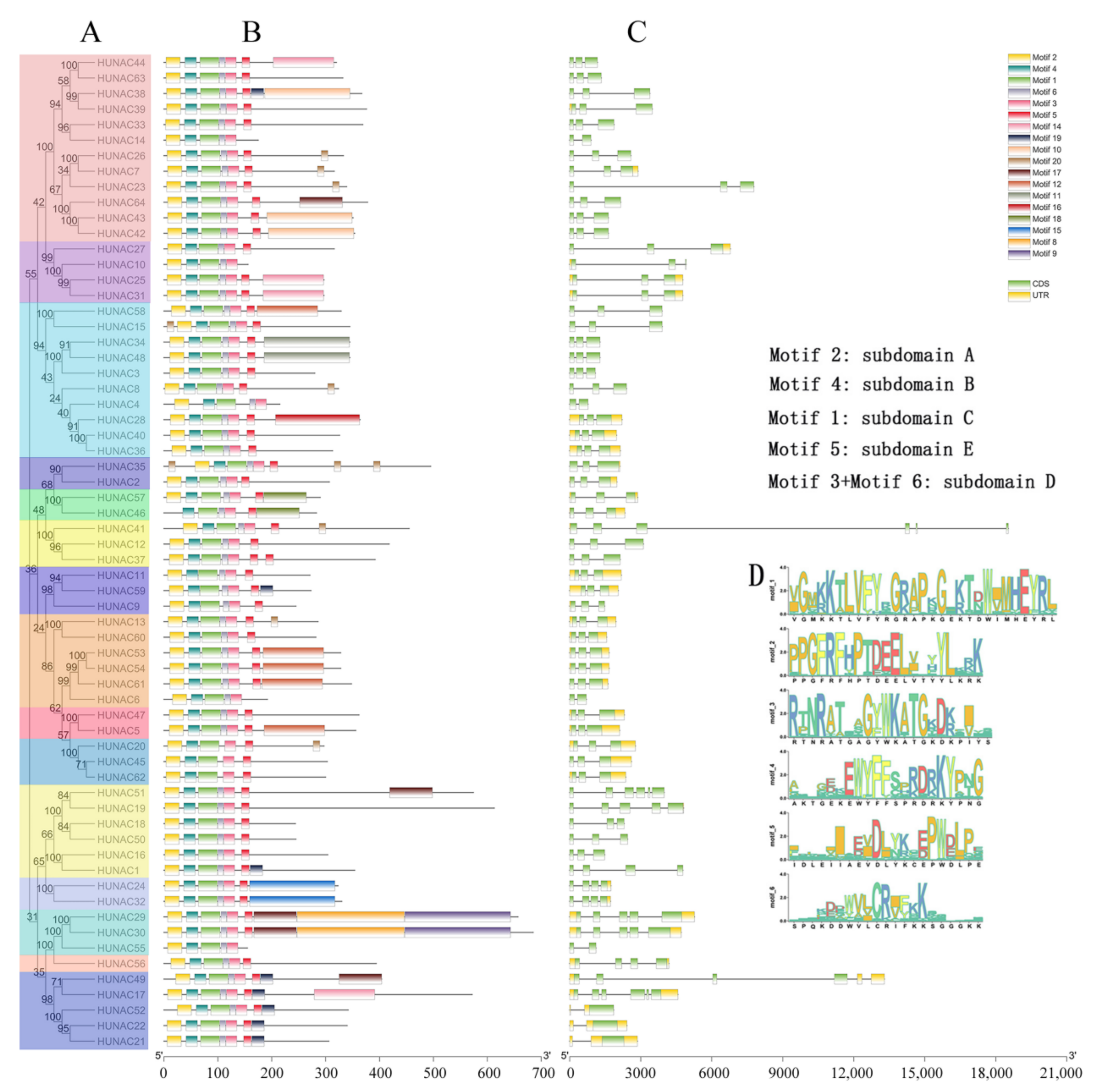 Ijms 23 02189 g002 550