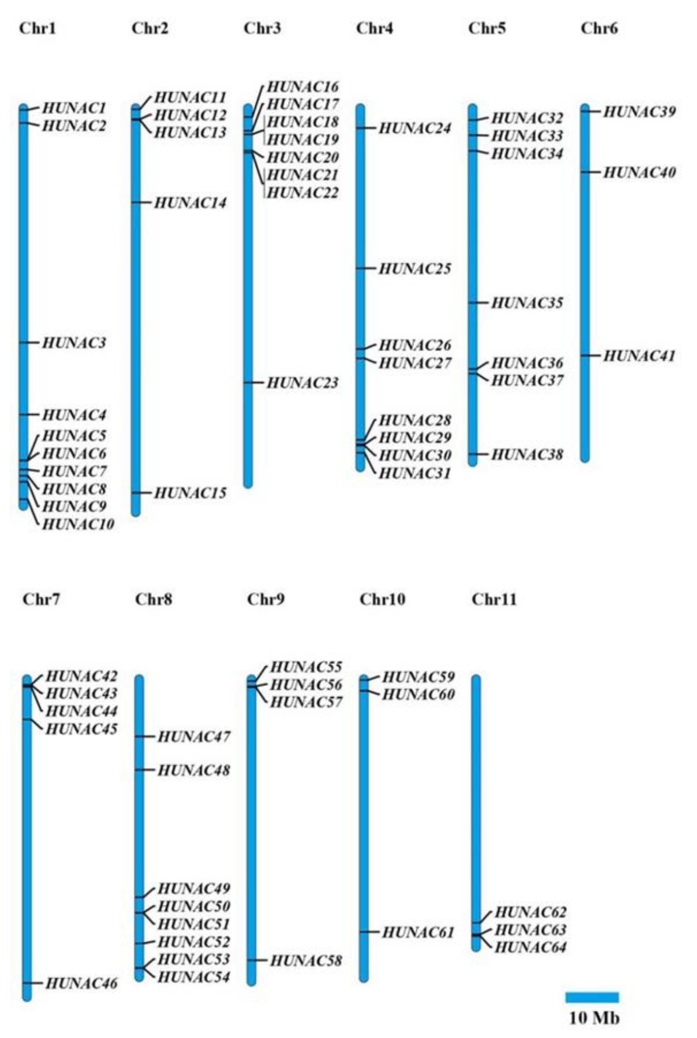 Ijms 23 02189 g003 550