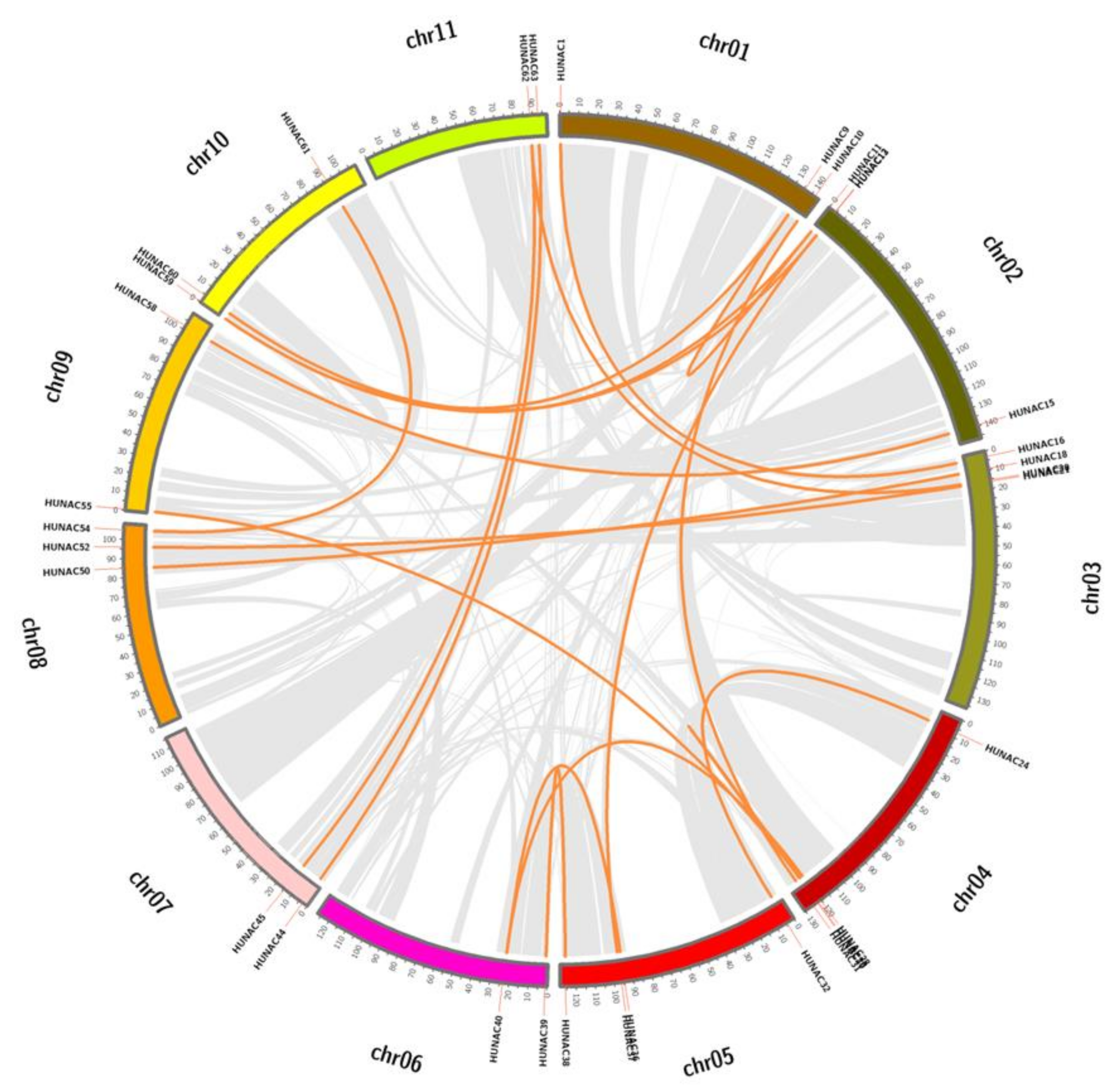 Ijms 23 02189 g004 550