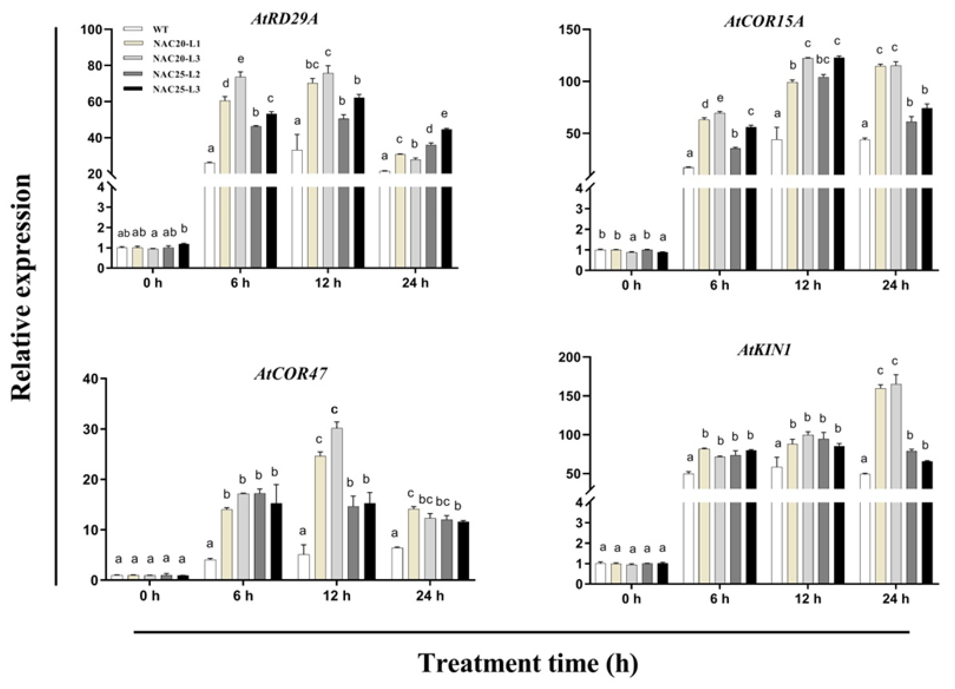 Ijms 23 02189 g011 550