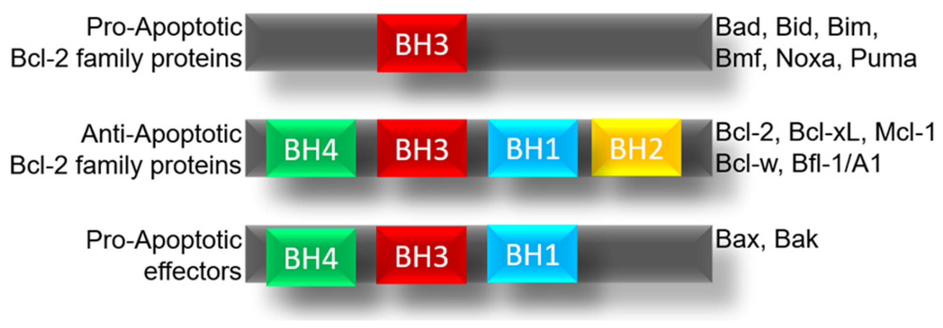 Ijms 23 02193 g001 Ijms 23 02193 g001