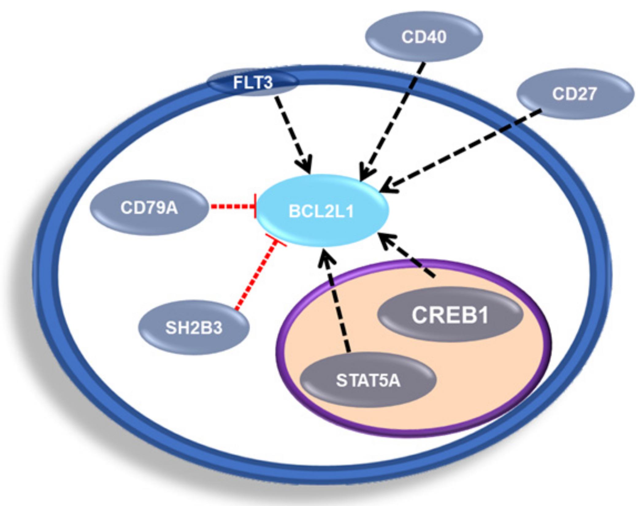 Ijms 23 02193 g007 Ijms 23 02193 g007