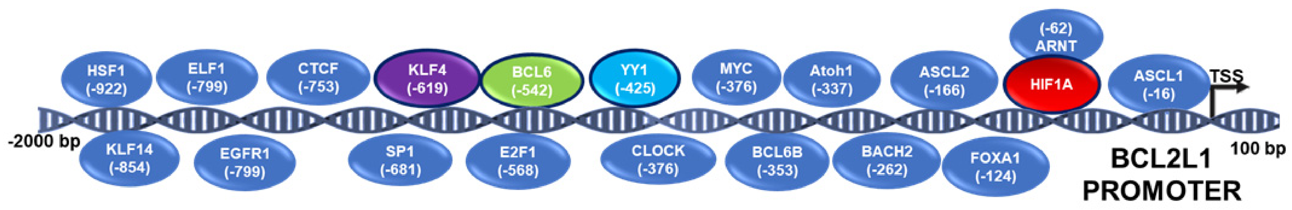 Ijms 23 02193 g008 Ijms 23 02193 g008