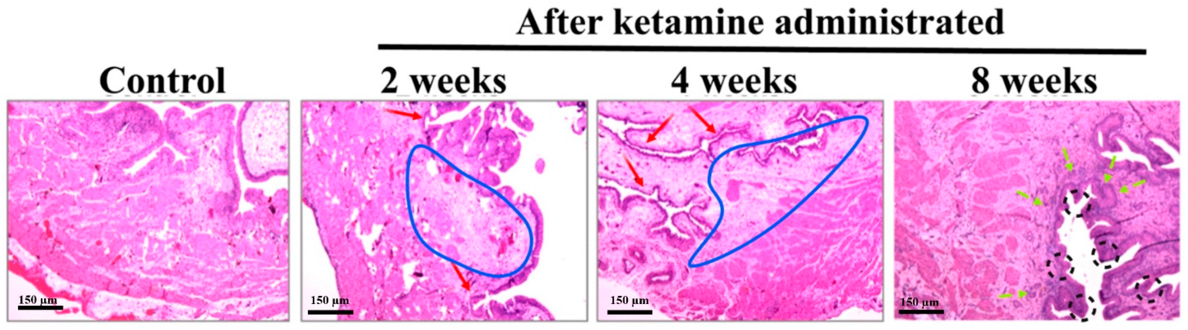 Ijms 23 02194 g002 550