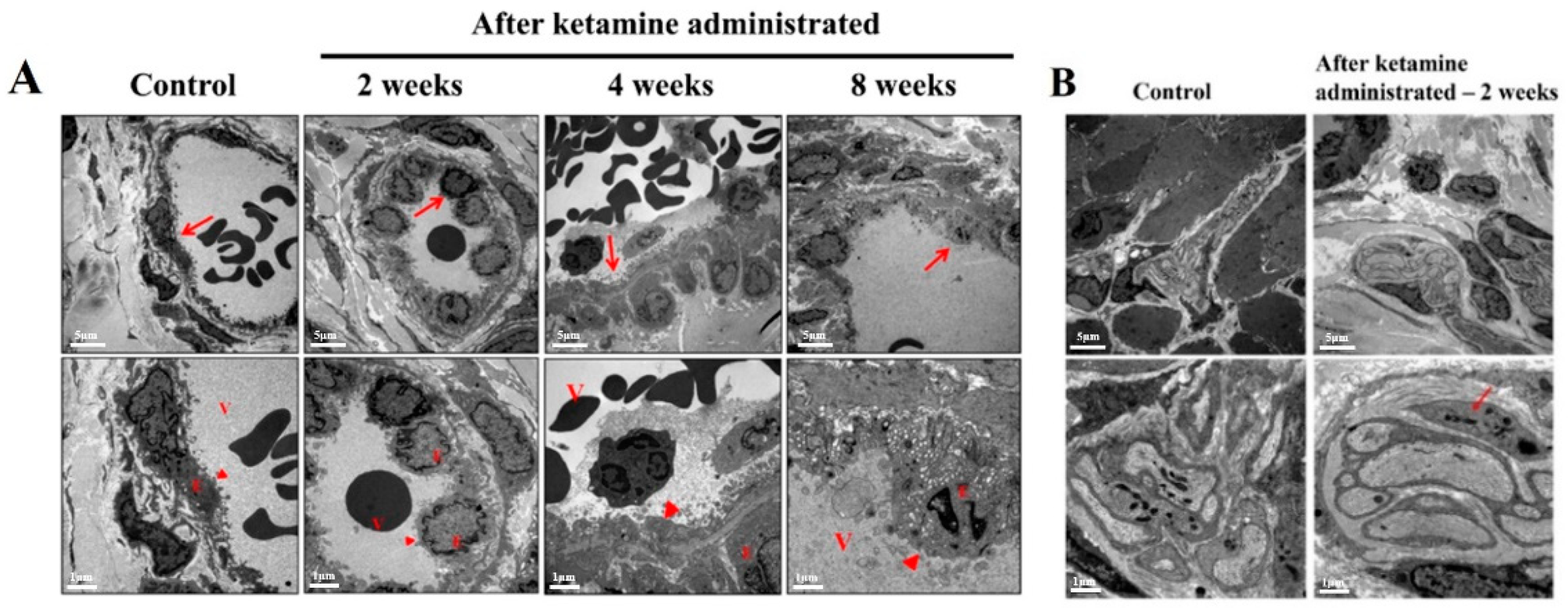 Ijms 23 02194 g004 550